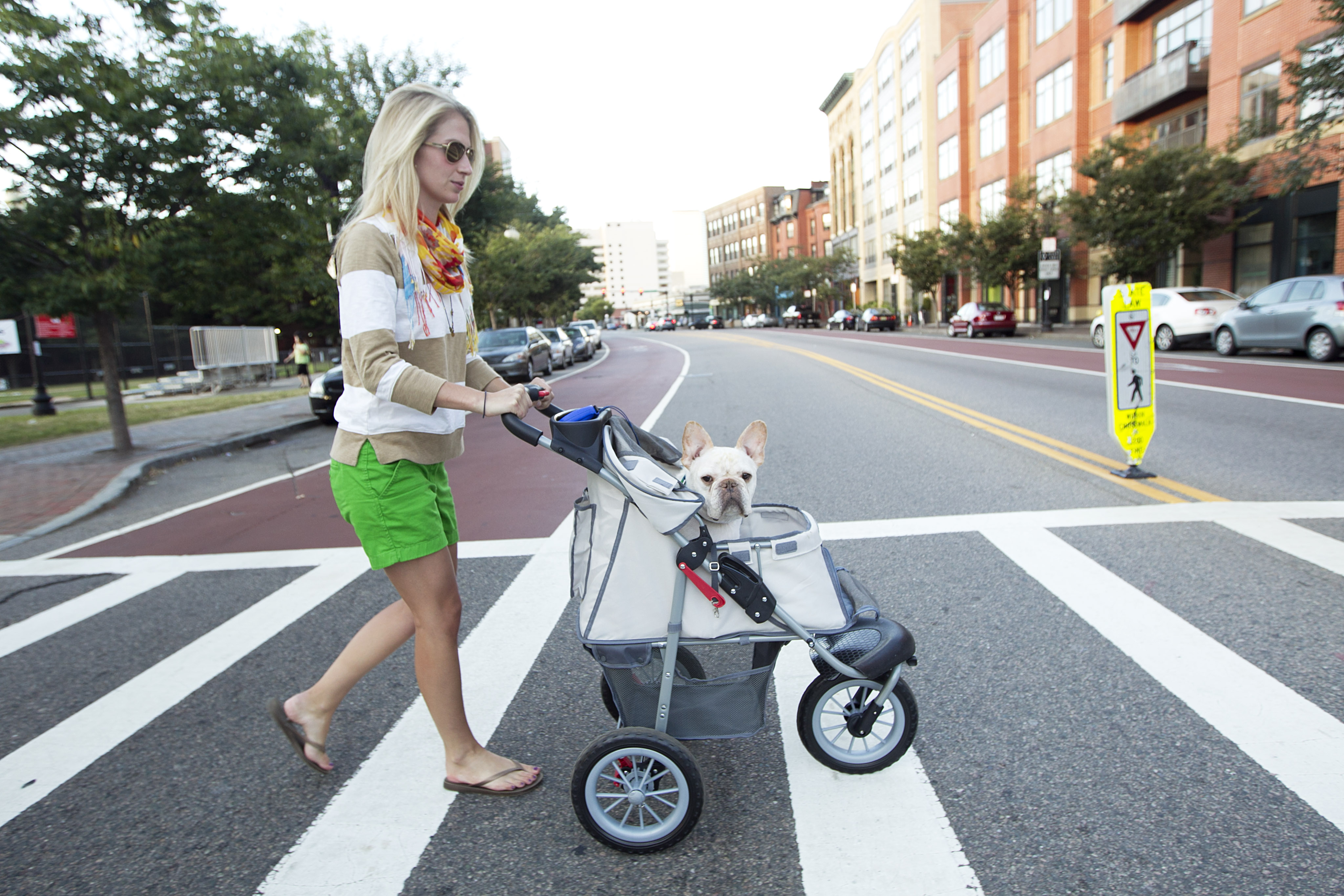 Louis, April Soderstrom’s French bulldog, has back and hip issues, so a stroller helps get him out for walks.