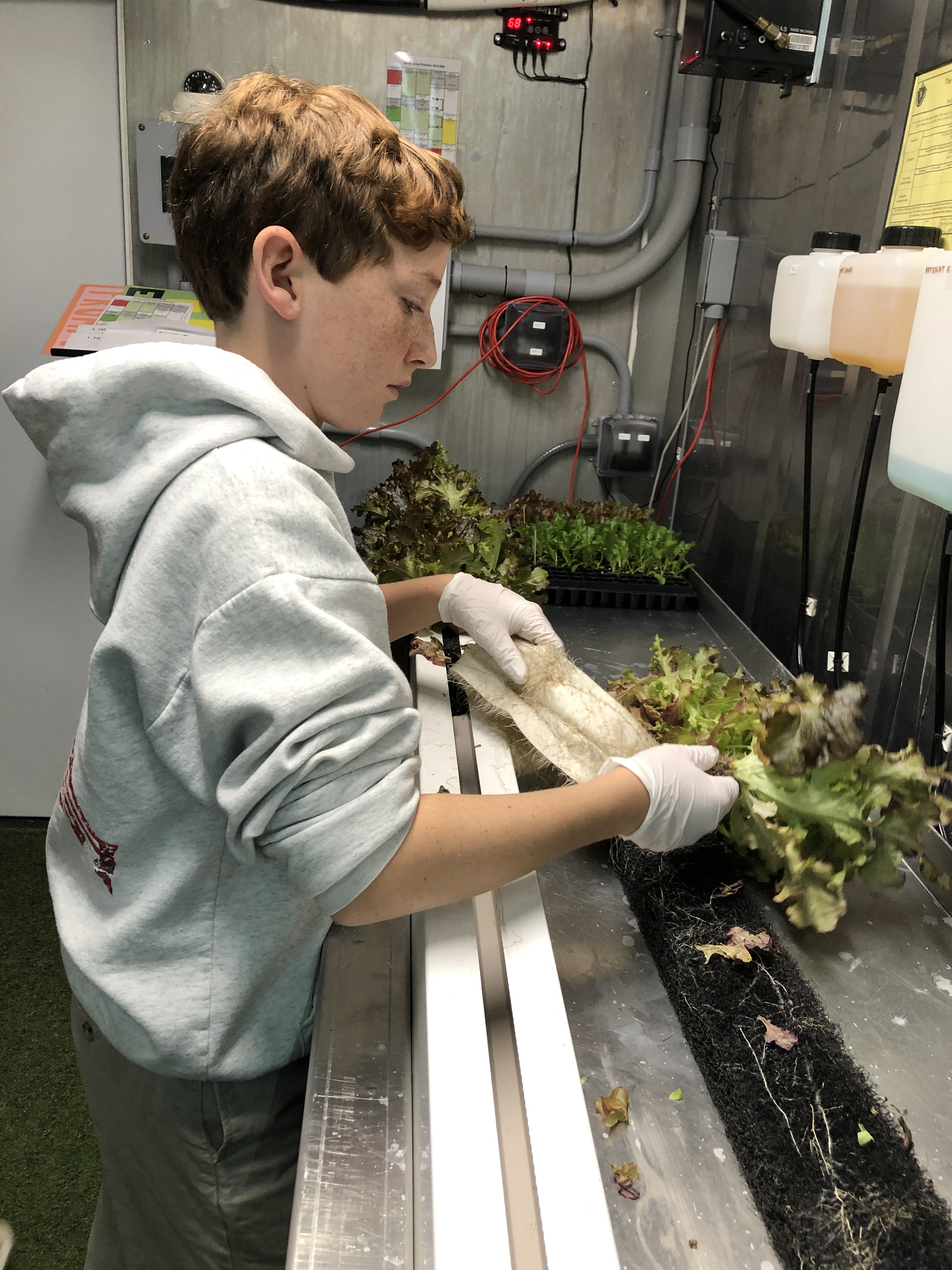 Freight Farms goes to school - The Boston Globe