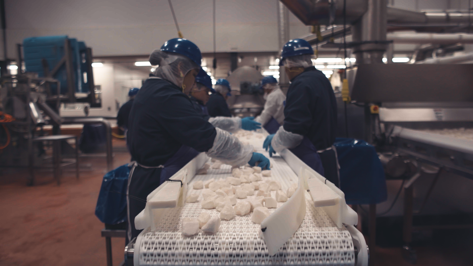 Seafood makes its way to a processor, where data such as size, pack date, and shipment data demonstrate freshness and authenticity. Here, scallops are processed at Raw Seafoods in Fall River.