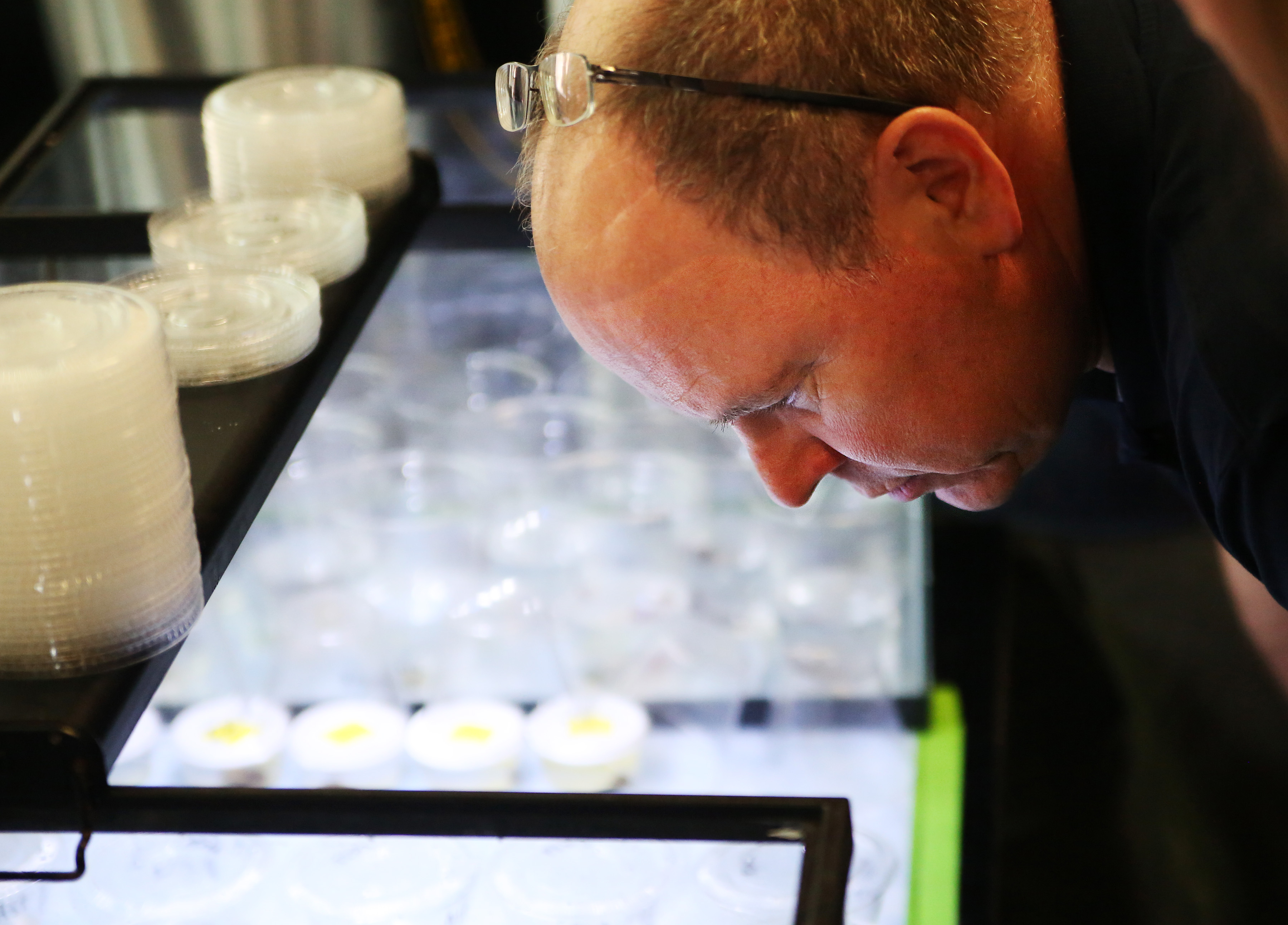 Prince Albert II of Monaco visited the Marine Biological Laboratory (MBL) in Woods Hole.