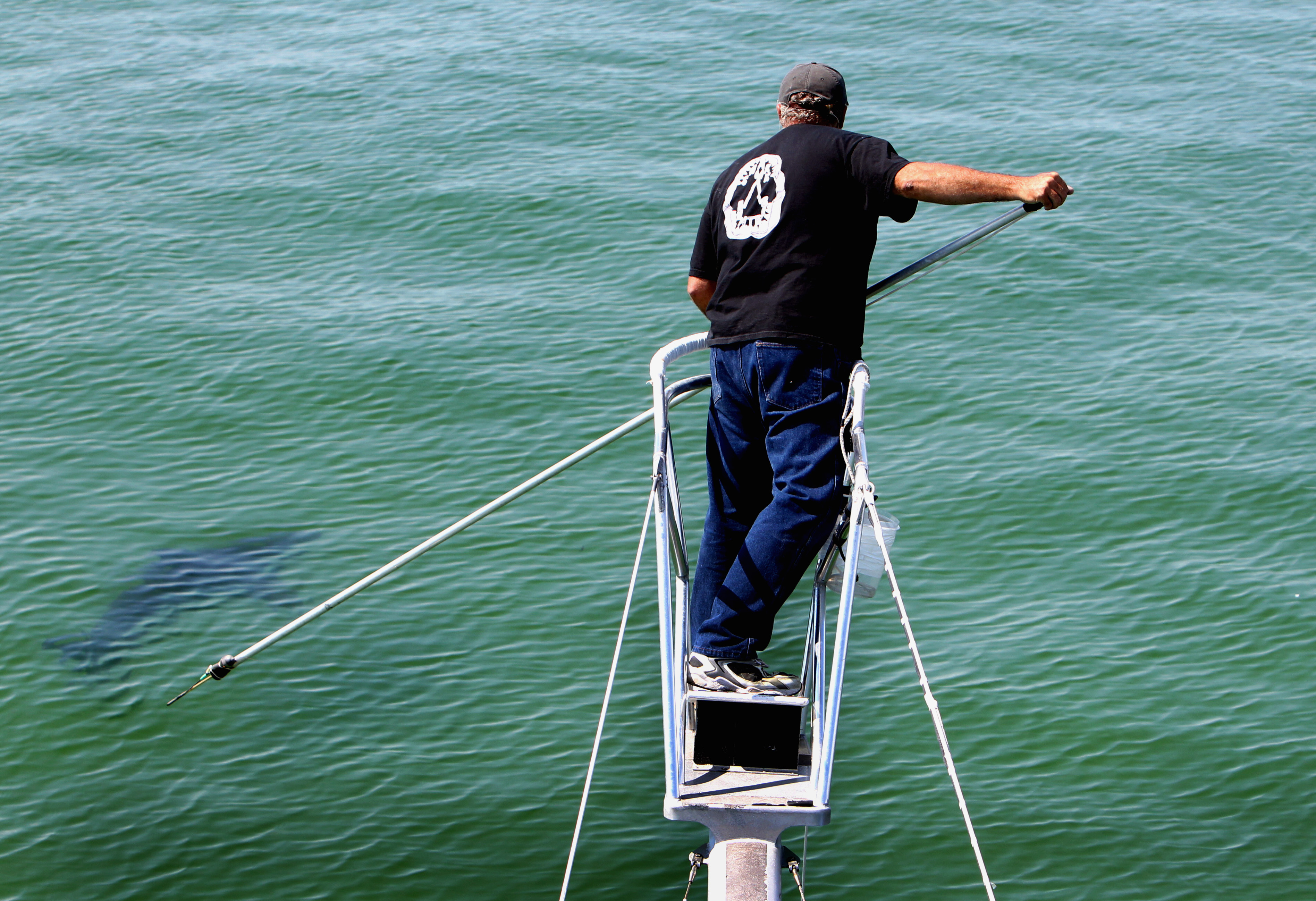 Bill Chaprales tagged a great white shark in Chatham in 2010.