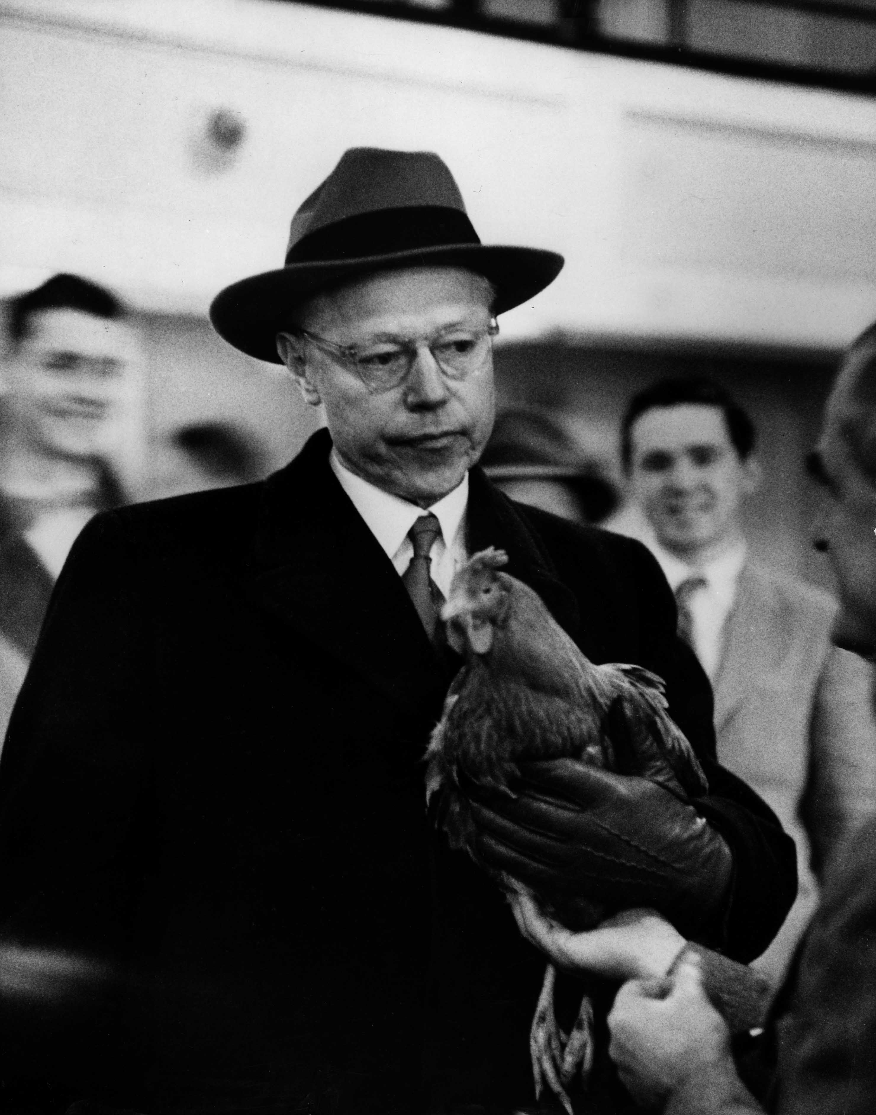 Senator Robert Taft was not smiling in 1952 after he was handed a prize rooster by an admirer. Five days later, he lost to Dwight Eisenhower.
