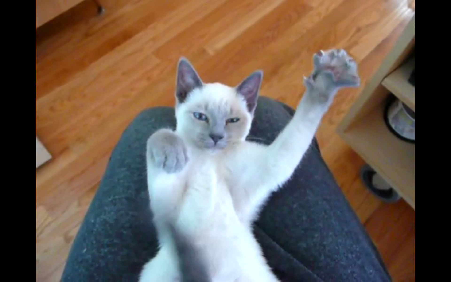 “Jazz Hands,” by Jamie Byrne.