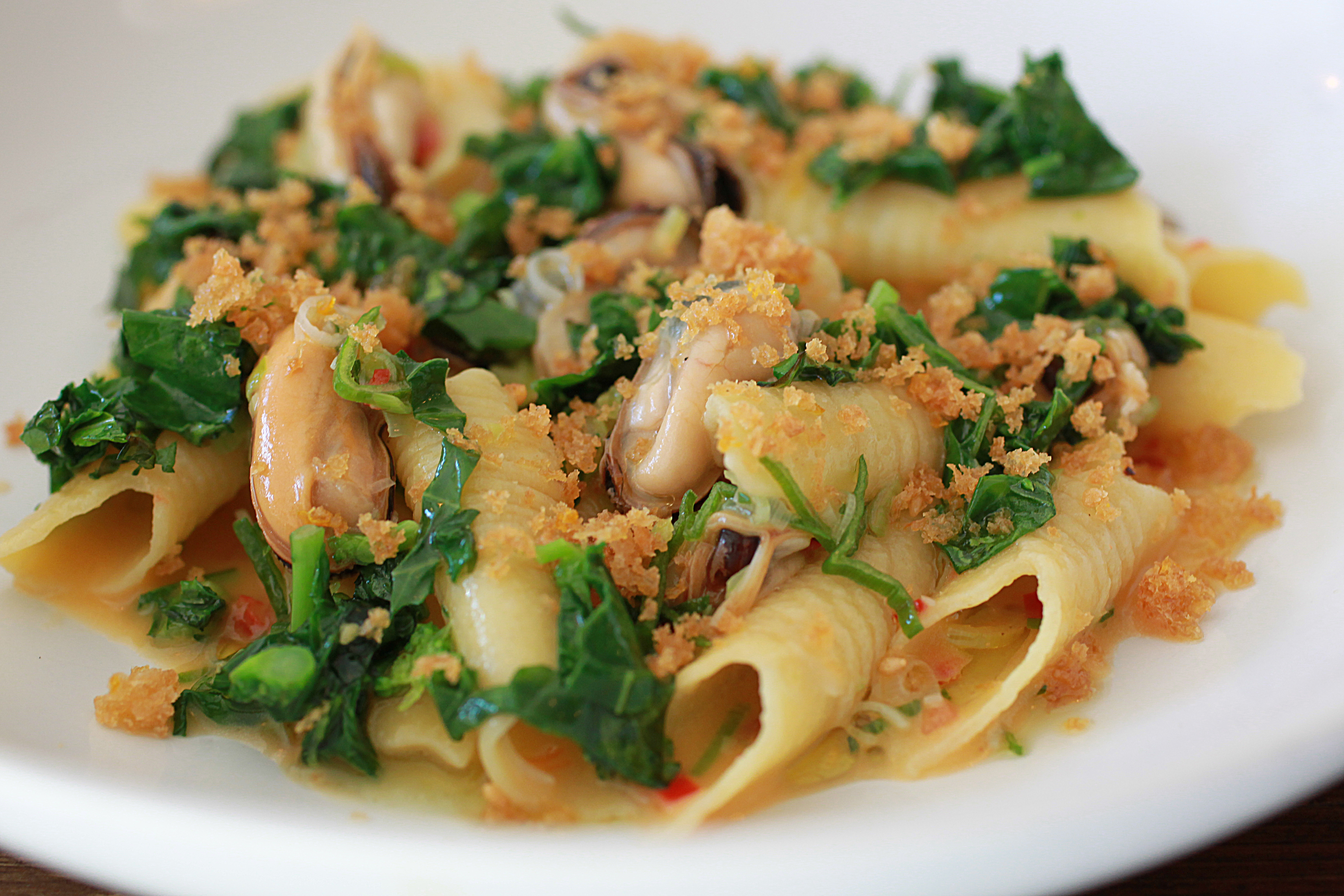 A variation of a mussel stew with garganelli.