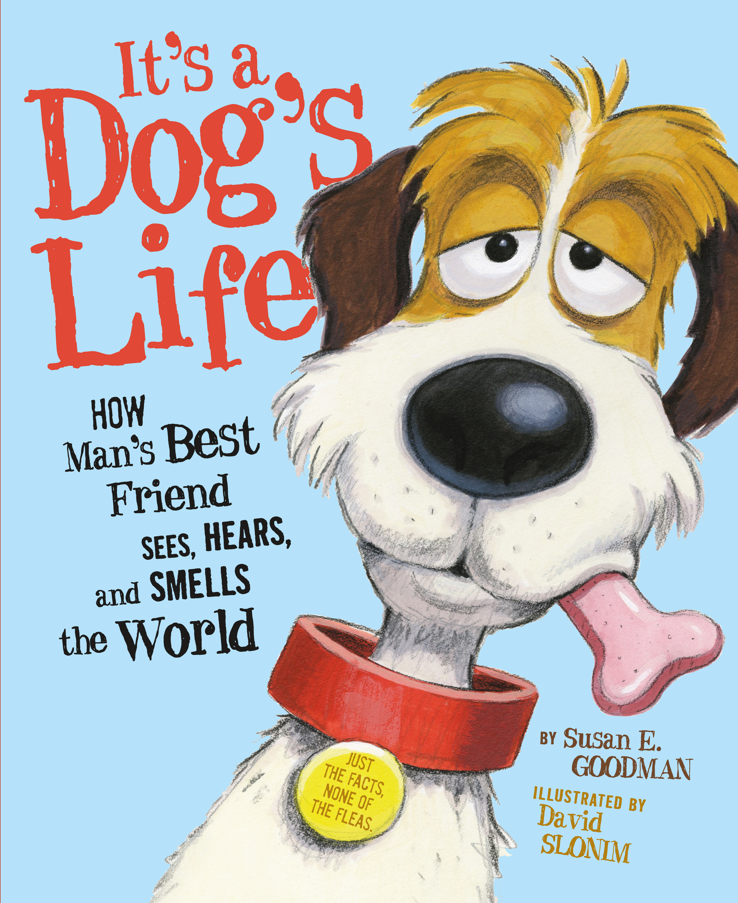 reviews of 3 recent children s books the boston globe