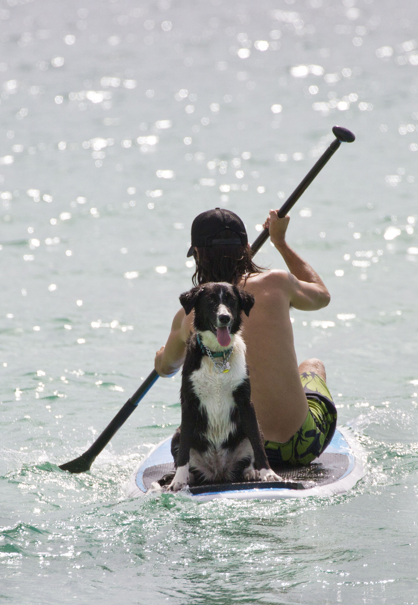It was calm at Miami Beach, where this man paddled, but stormy off South Carolina.