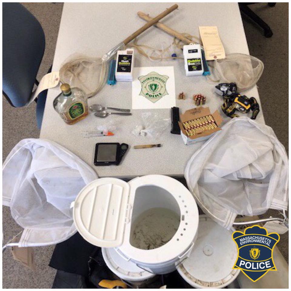 Officials collected undersized eels and small mesh nets, along with a hand gun, ammunition and drugs during a search of a car on Saturday.