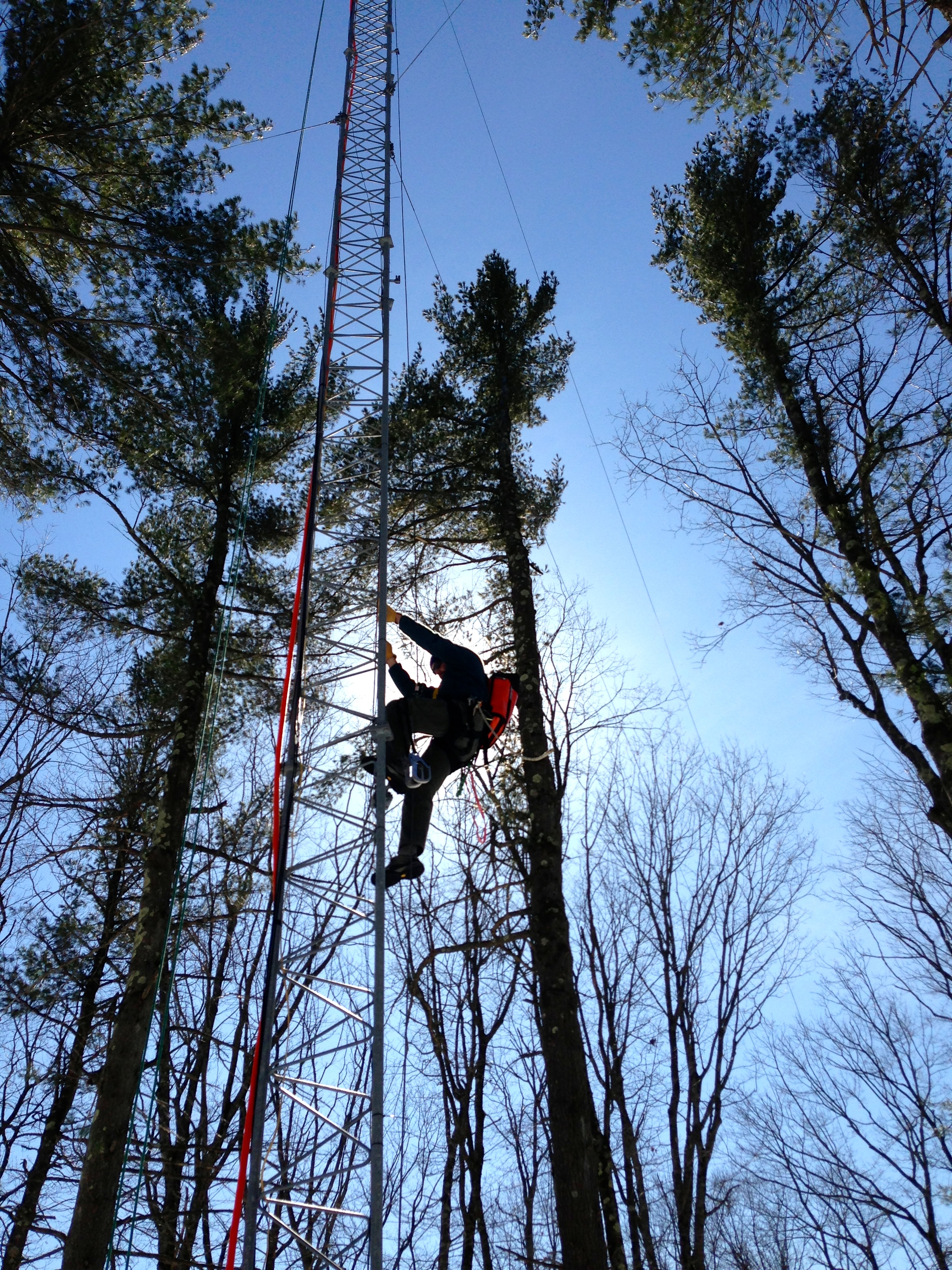 Harvard professor Andrew Richardson scales a tower to adjust webcams that keep an eye on seasonal changes in the trees. See the images at harvardforest.fas.harvard.edu/webcams.