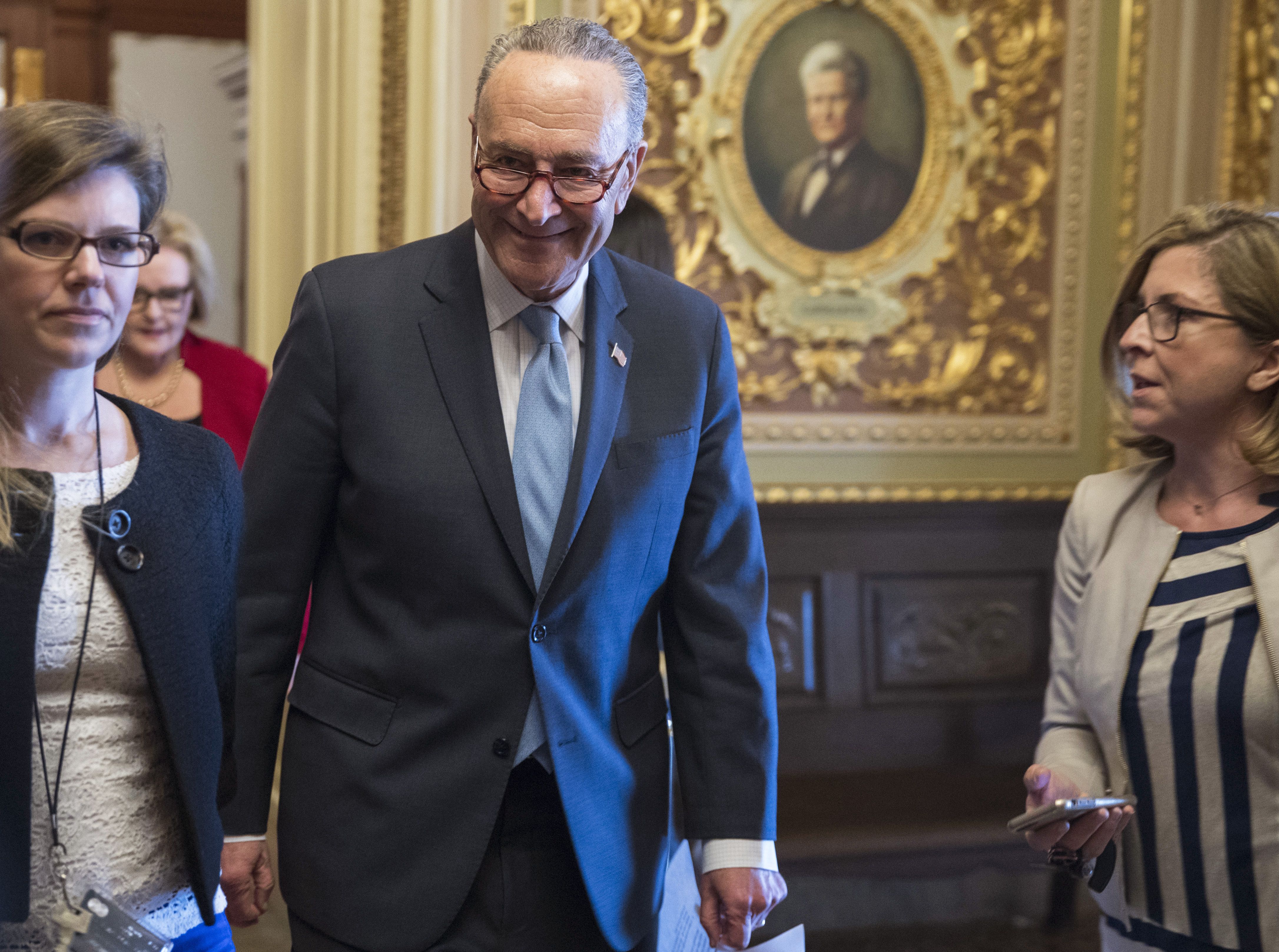 Senate Minority Leader Chuck Schumer took most blame.