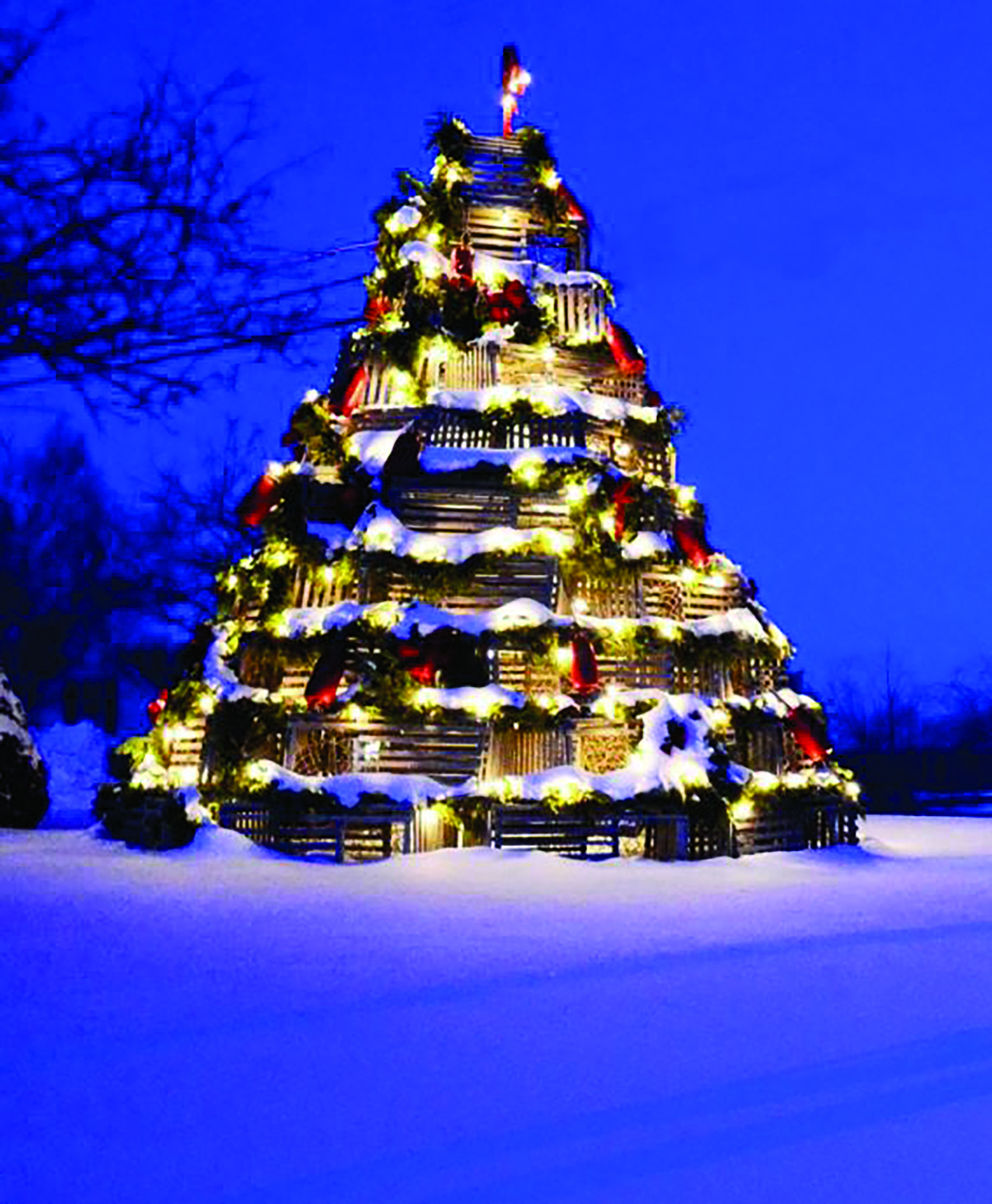 Don’t miss the famed lobster trap tree in Cape Porpoise Square. in Kennebunkport, Maine.