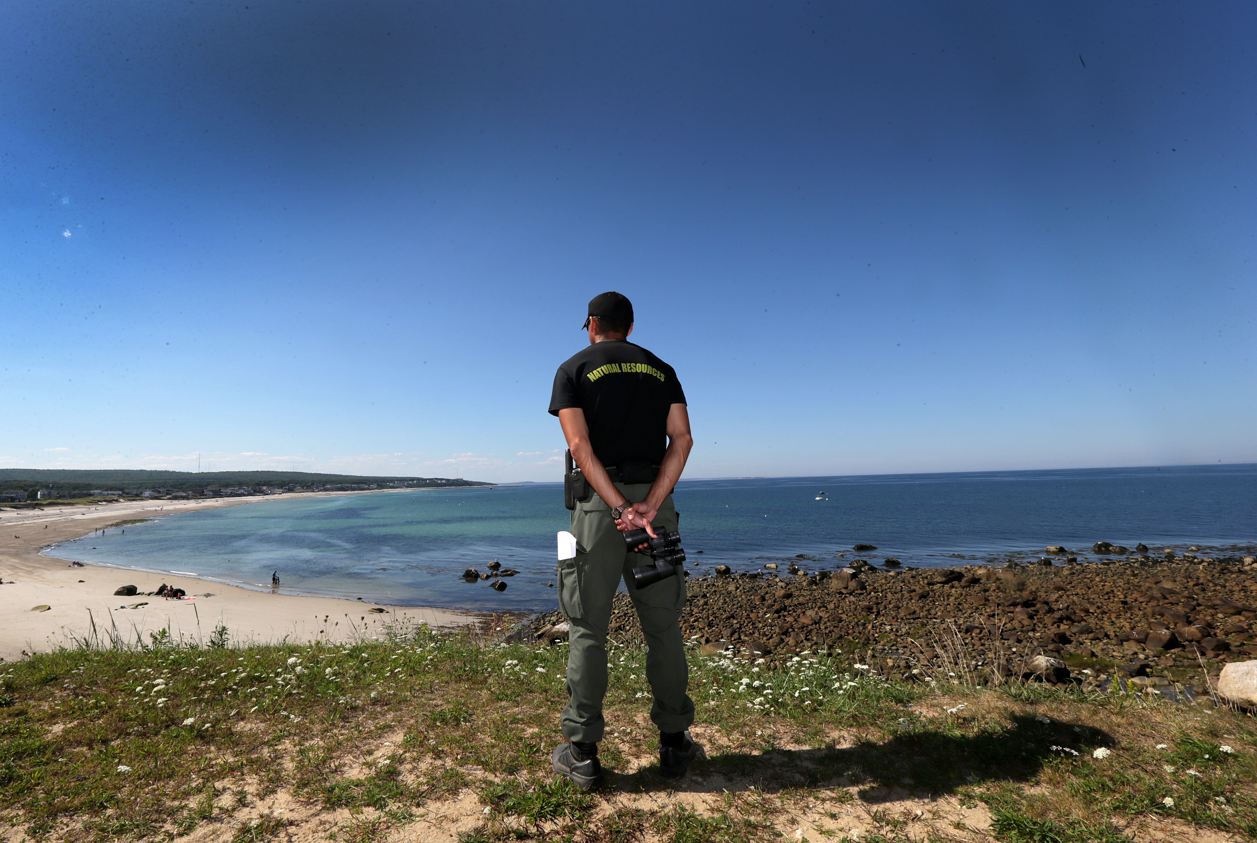 Nate Cristofori, a Plymouth natural resources warden, surveyed Manomet beach on Tuesday amid worries over sharks.