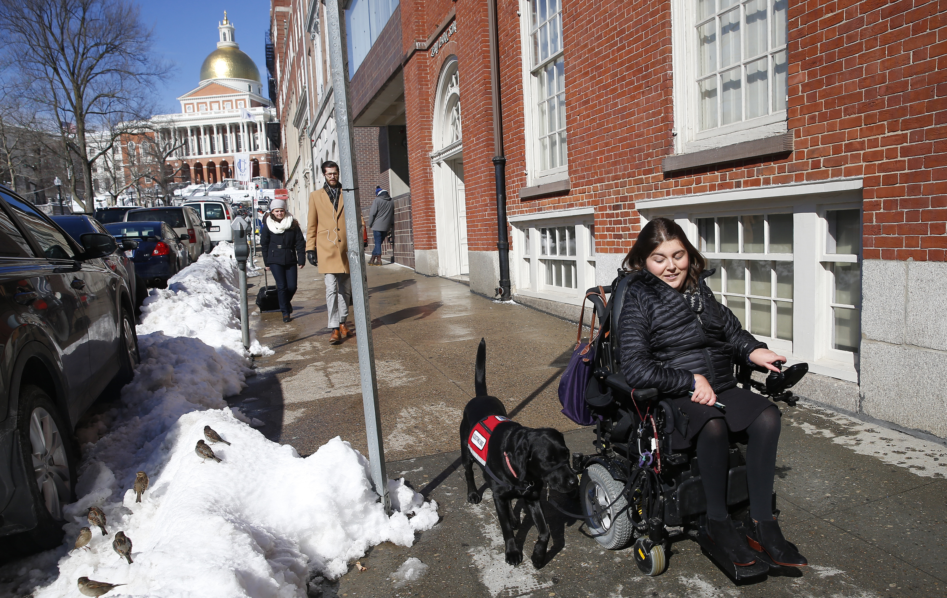 Shadow, Carolyn Barrett’s service dog, helps guide her down to Boston Common. Barrett says there are dogs that are clearly not well-trained walking around with service dog IDs.