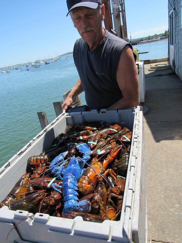 Bleu the blue lobster and Wayne Nickerson.