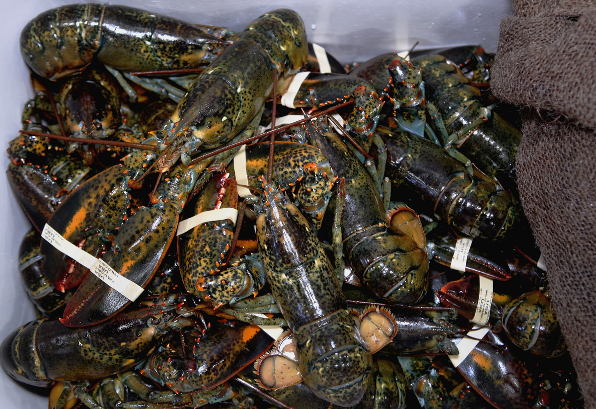 At a winter farmers’ market, you can buy root vegetables, halibut, and