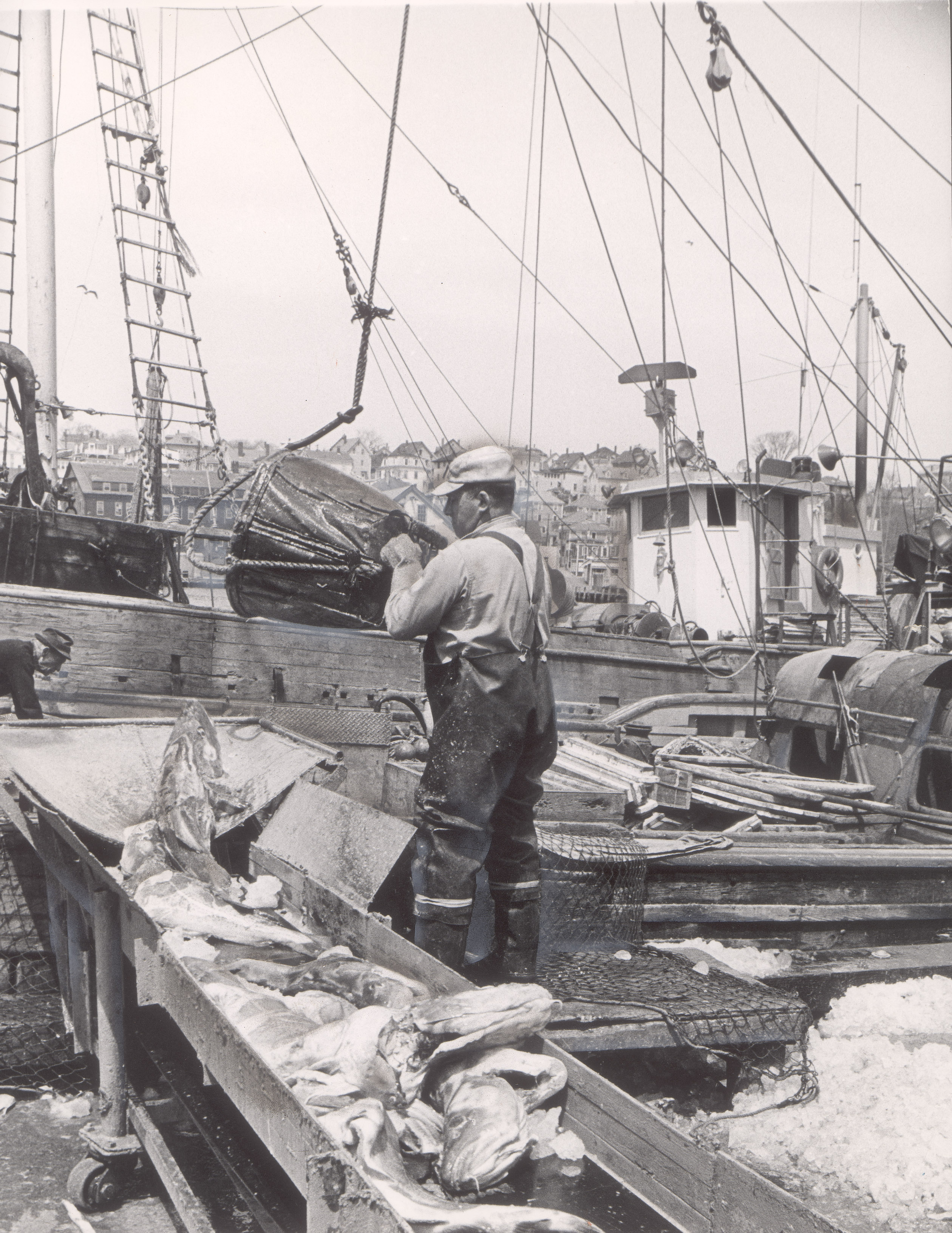 Unloading the catch in Gloucester in 1966.