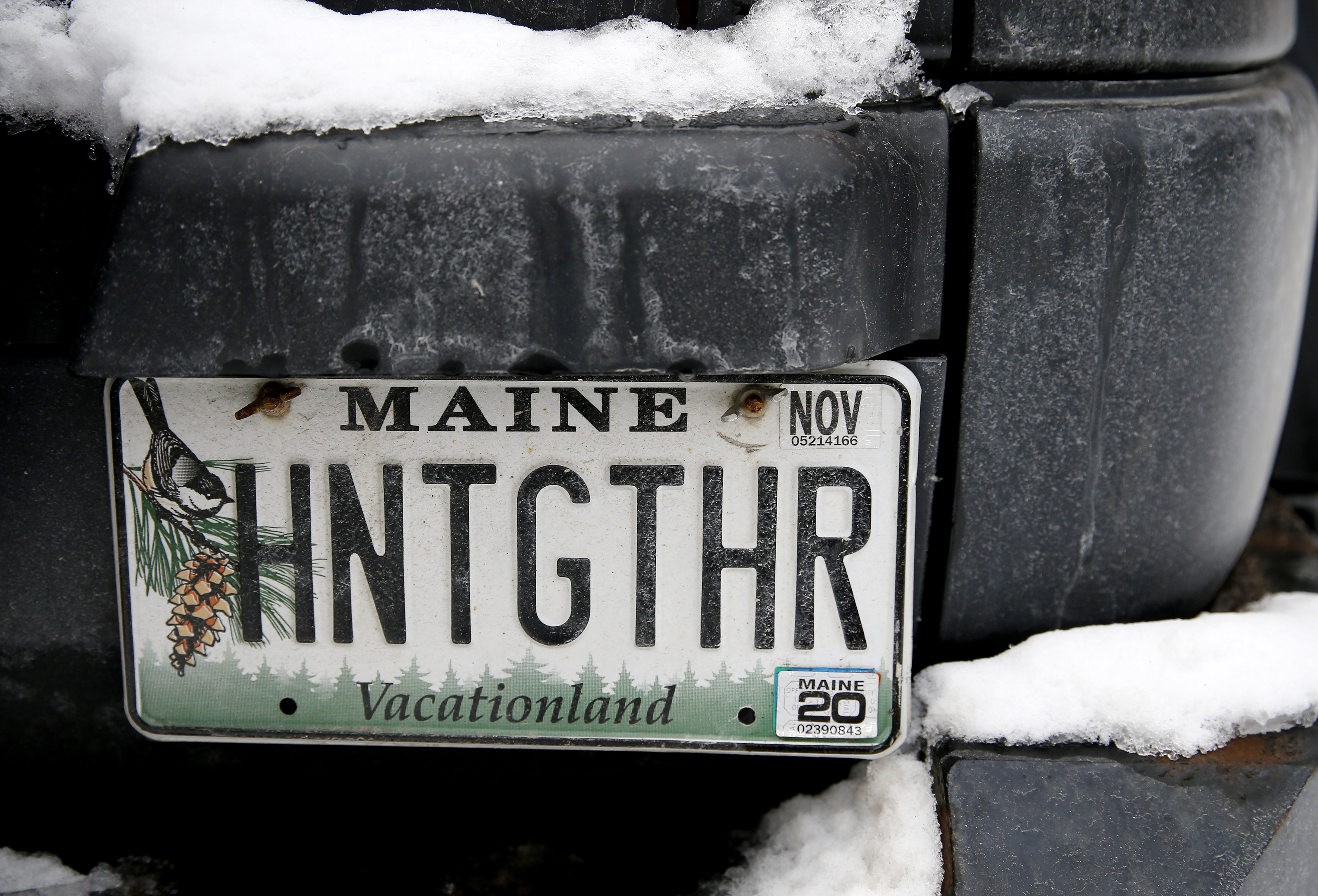 A personalized license plate on Daniel Vitalis’ car.