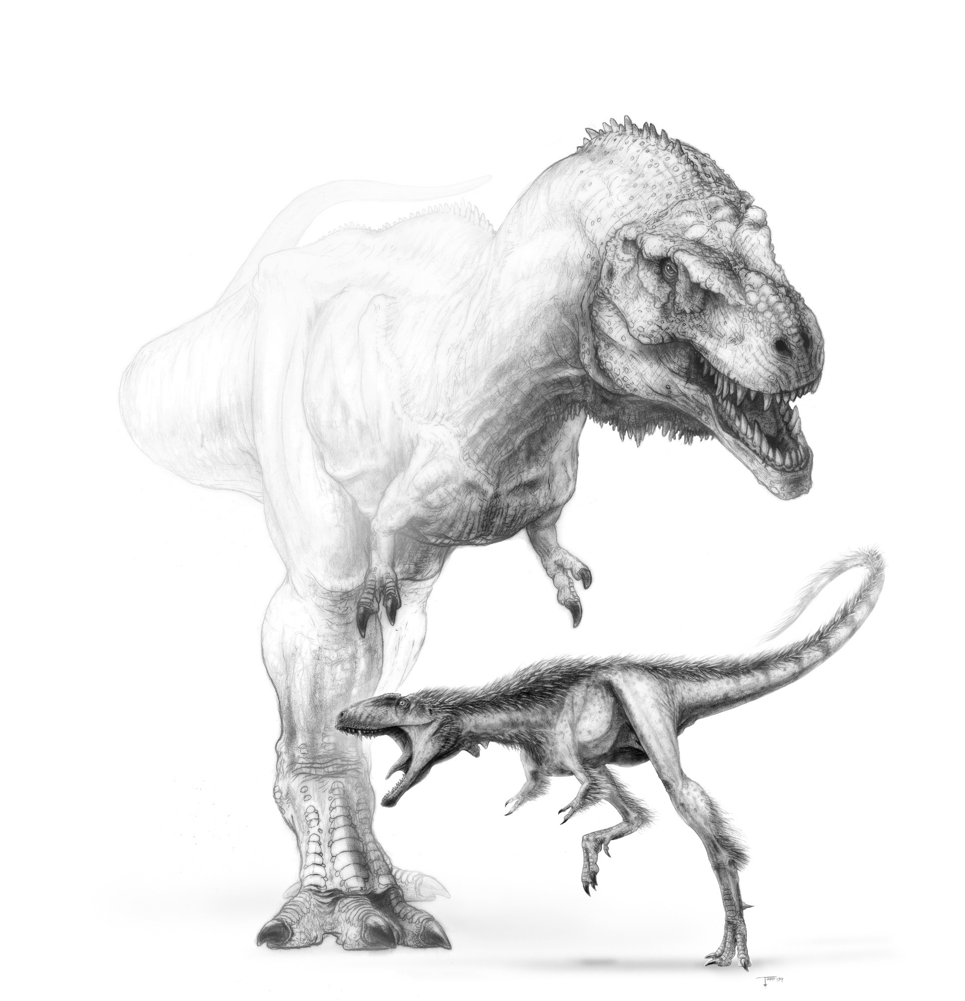 The Dreadnoughtus Effect Why Dinosaurs Have Awesome Names The Boston Globe