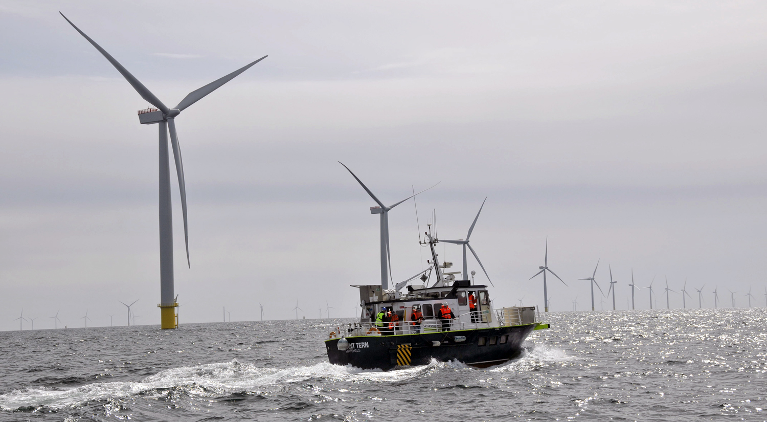 Denmark is first in the global race to 100-percent clean energy by 2050. Pictured: Anholt Offshore Wind Farm.