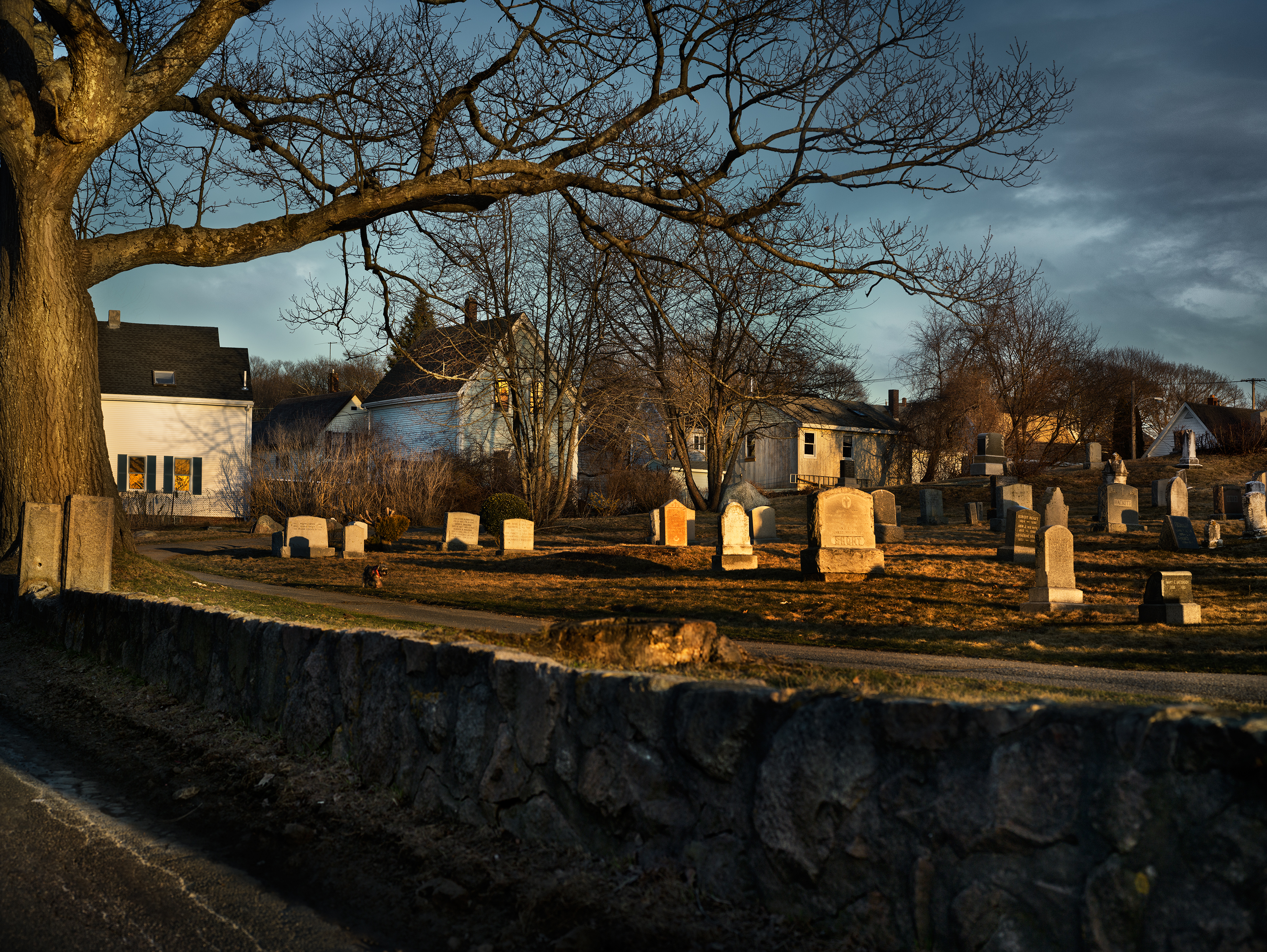 Gail Albert Halaban’s photograph “Poplar Street Cemetery.”