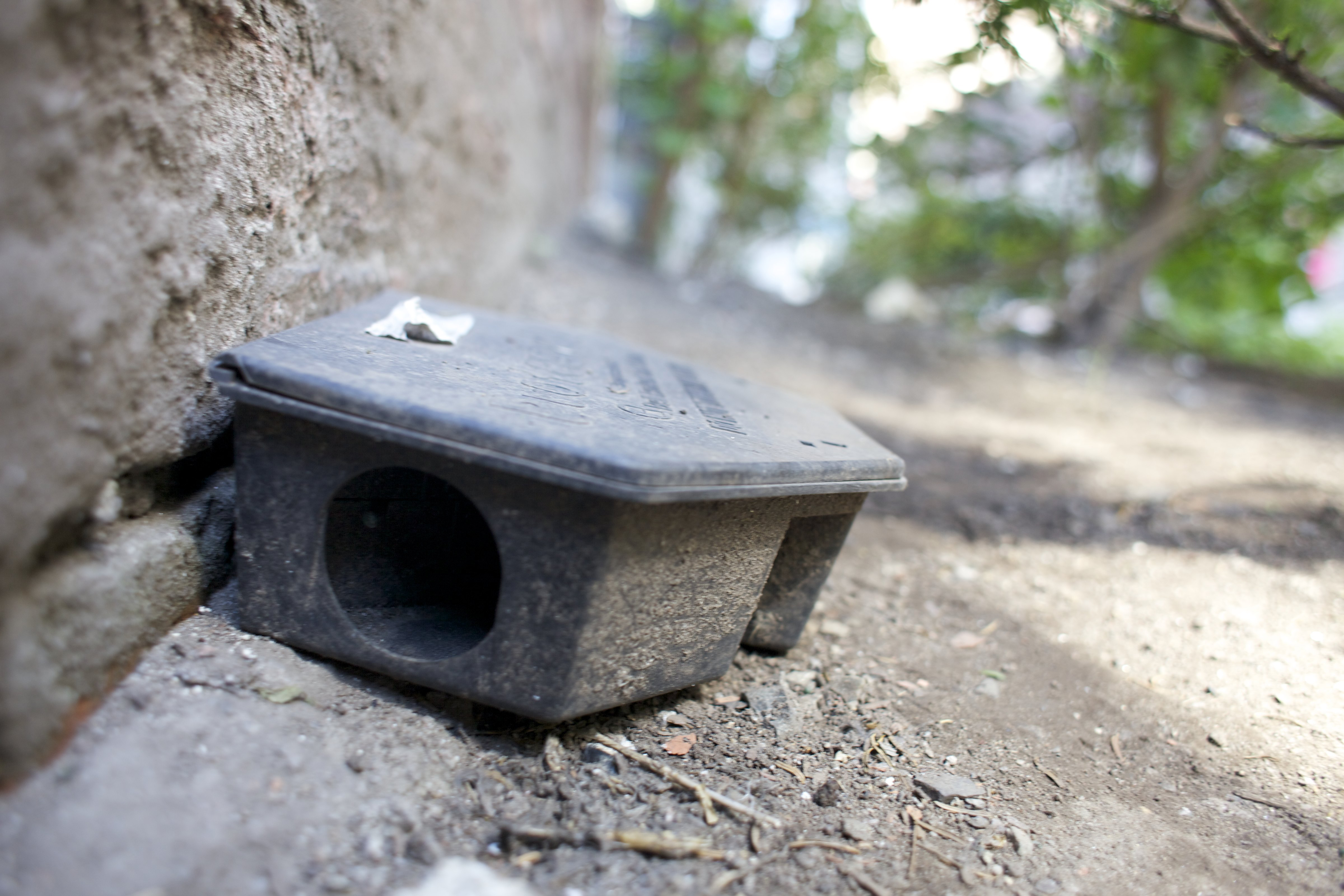 John Meaney, director of environmental services for Boston, described the conditions that attracted the rats.
