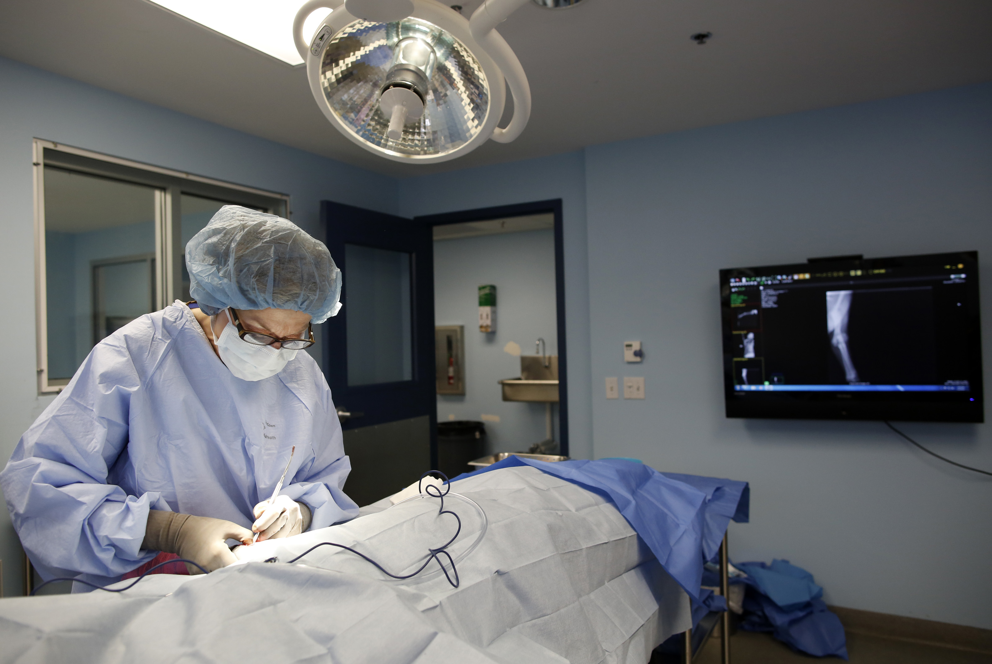 Angell Memorial branches out to Waltham The Boston Globe