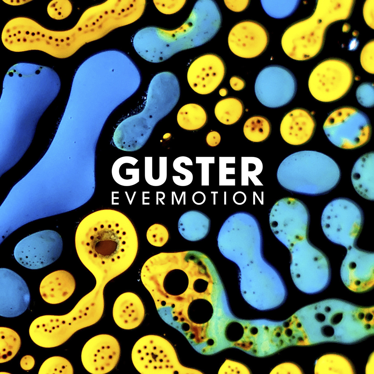 Guster album cover Evermotion