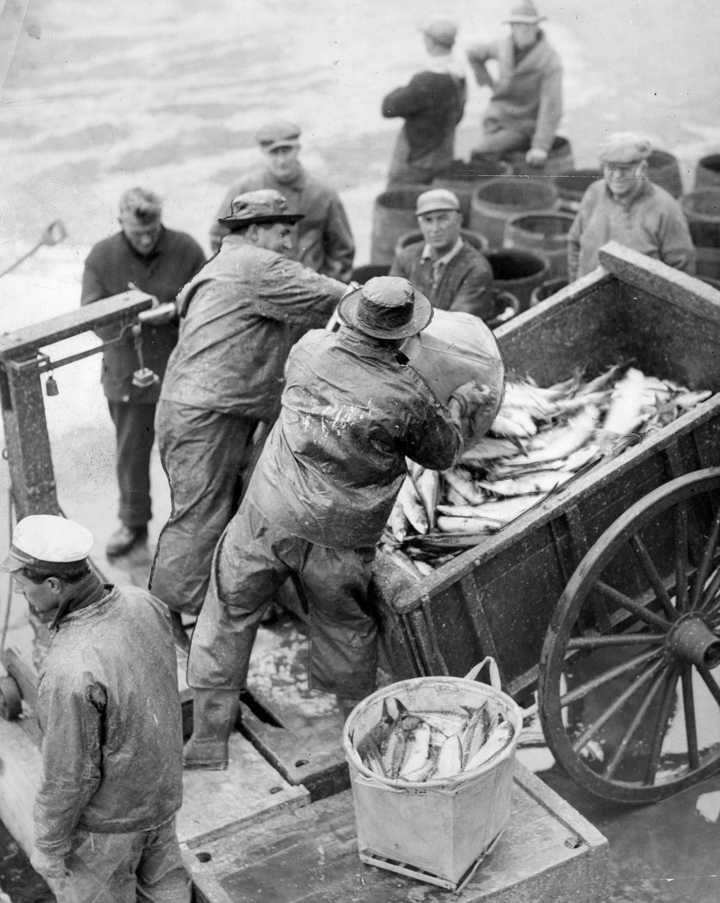Workers unloaded some of the 70,000 pounds of large mackerel at Fish Pier in 1932.