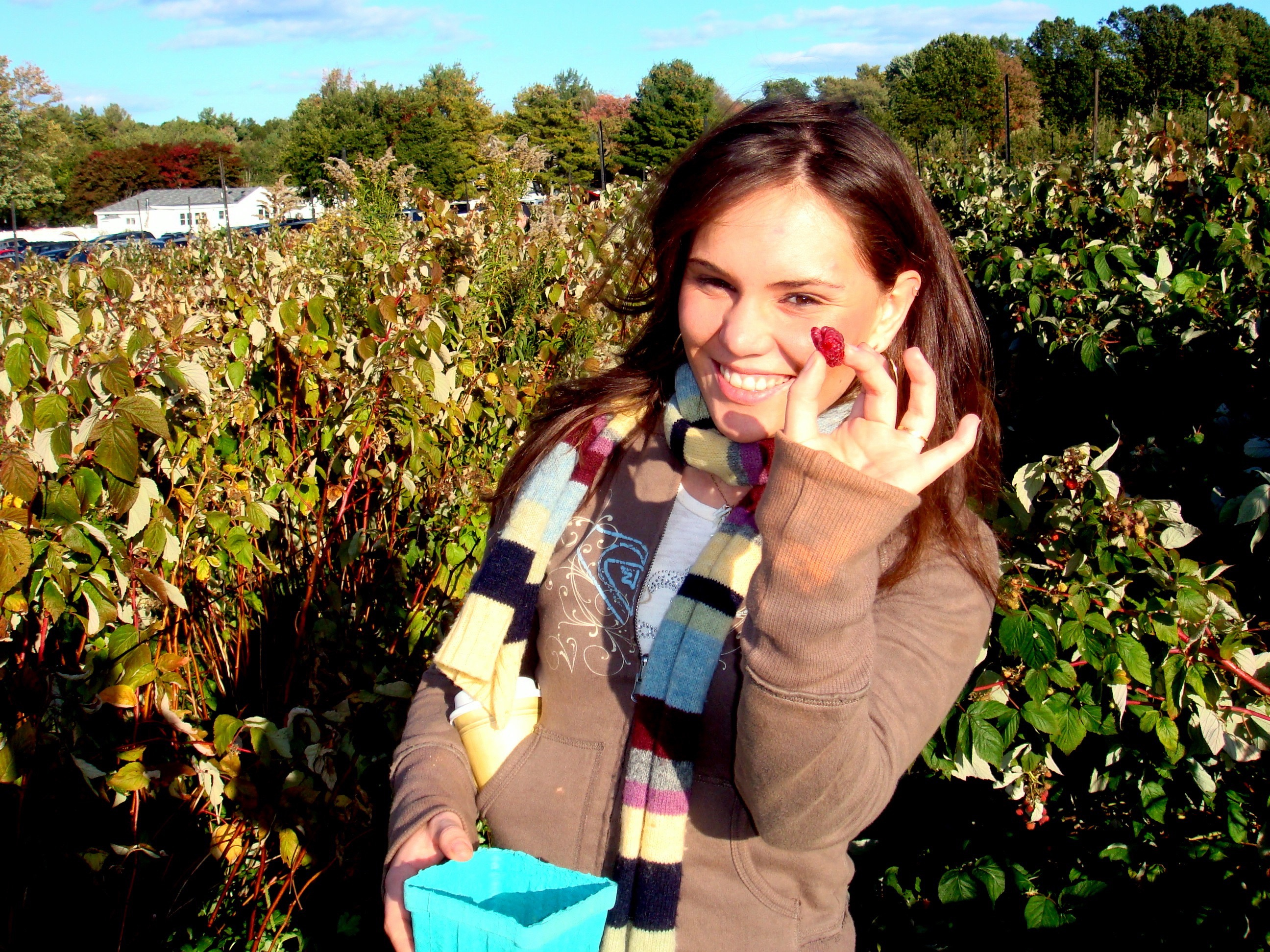 Levis during a raspberry picking in Amesbury in 2010.