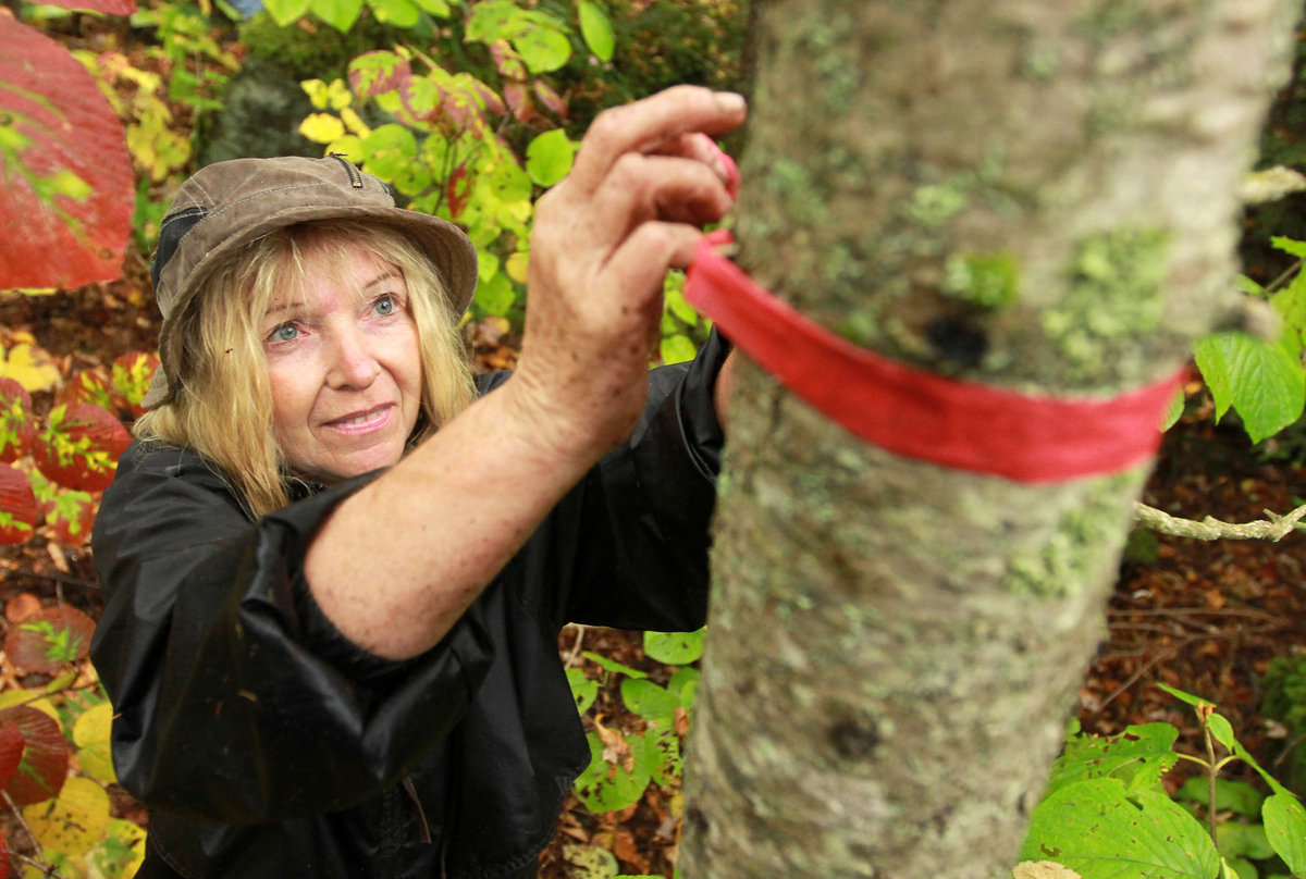 Kim Nilsen credits Lainie Castine (above) with motivating him to continue and taking on much of the work, especially the last bits of trailblazing. What he began, he says, she finished.