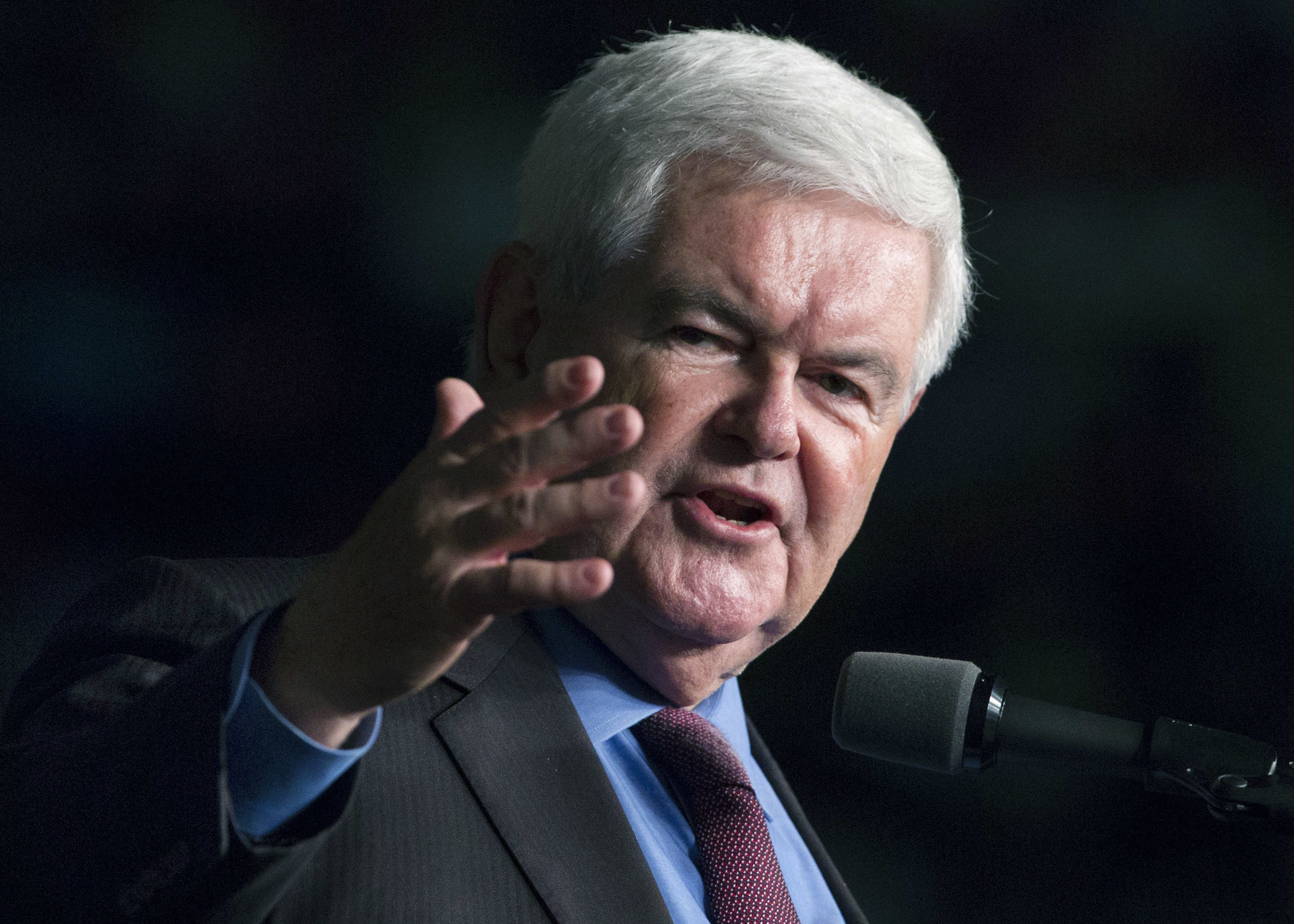 Newt Gingrich.