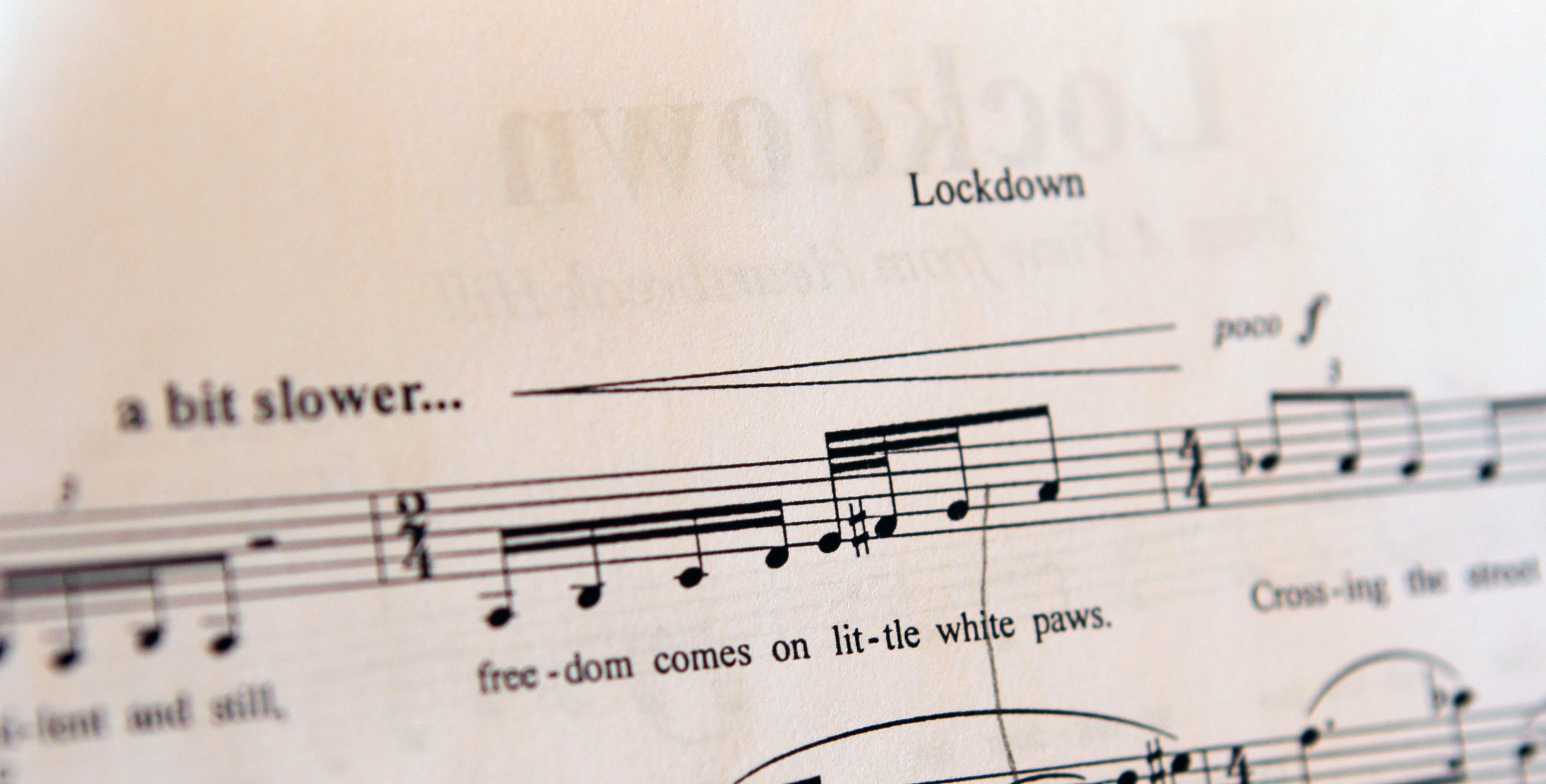 Music from the song "Lockdown."
