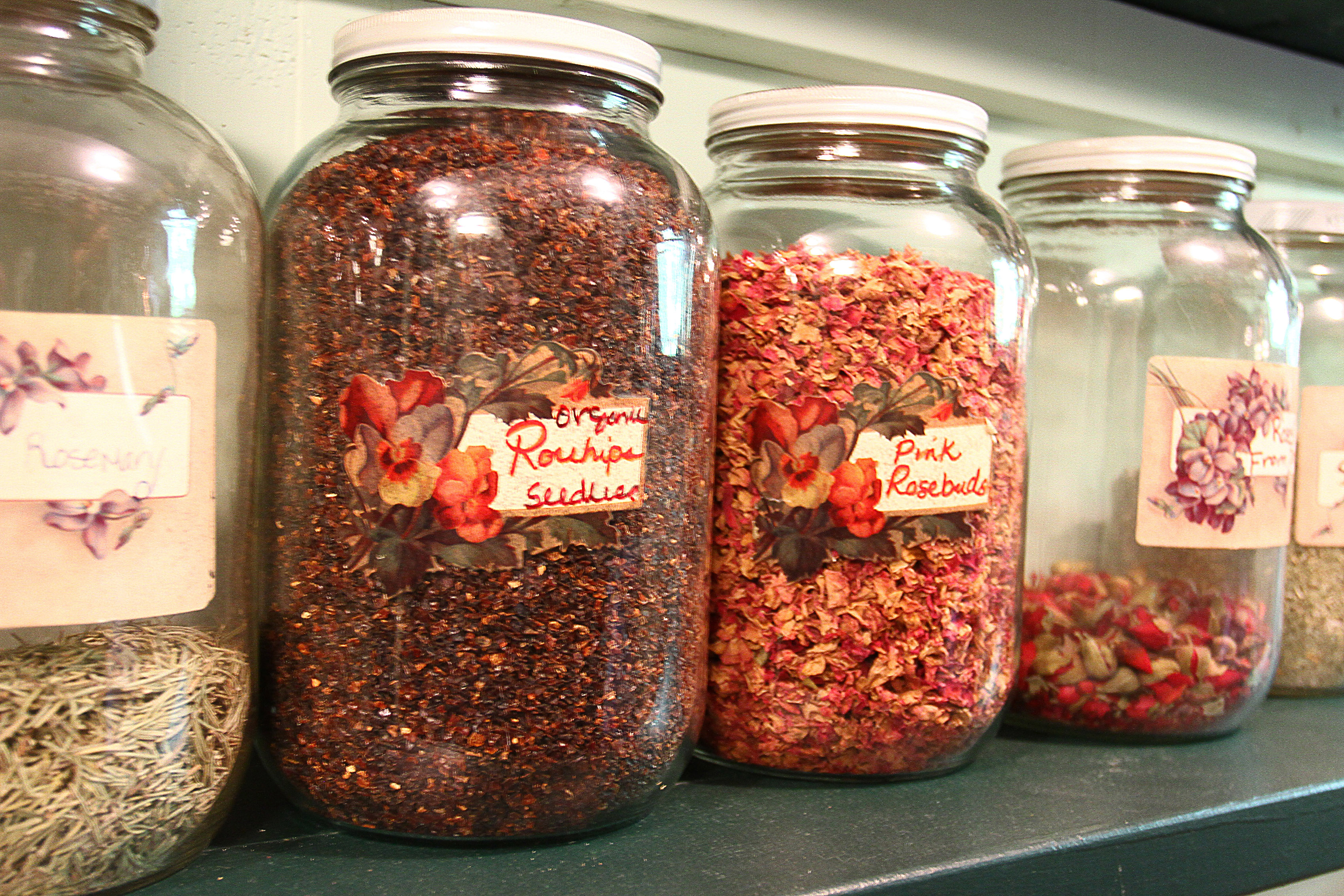 Jars of rosehips on the shelf of the apothecary.
