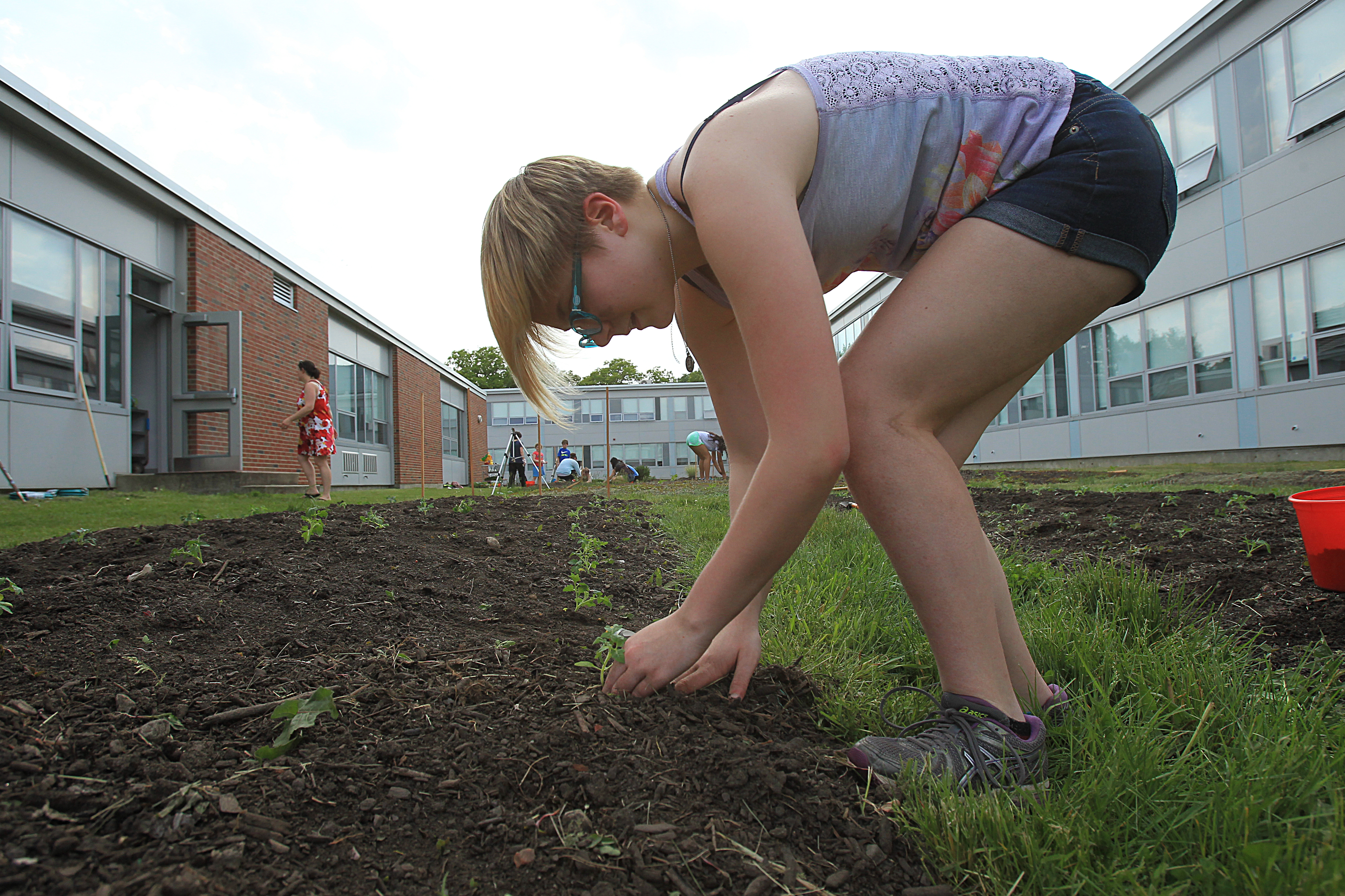 Student Carolyn Morningstar worked in the Framingham High School garden. School officials hope to expand the garden next year.