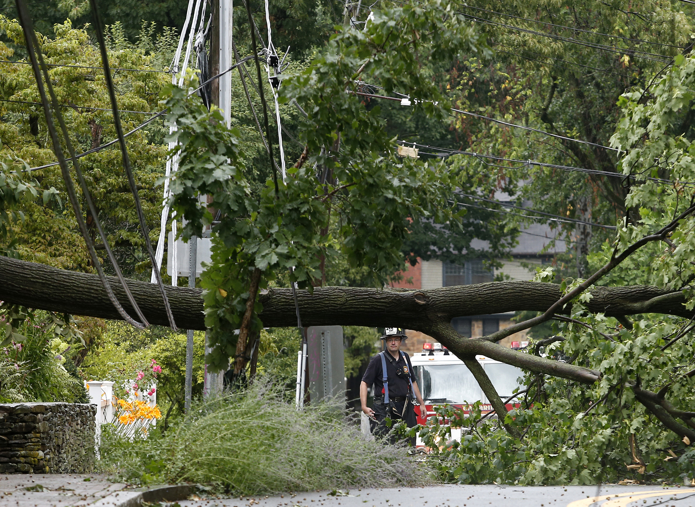 A tree fell across power lines on Lowell Street in Cambridge.