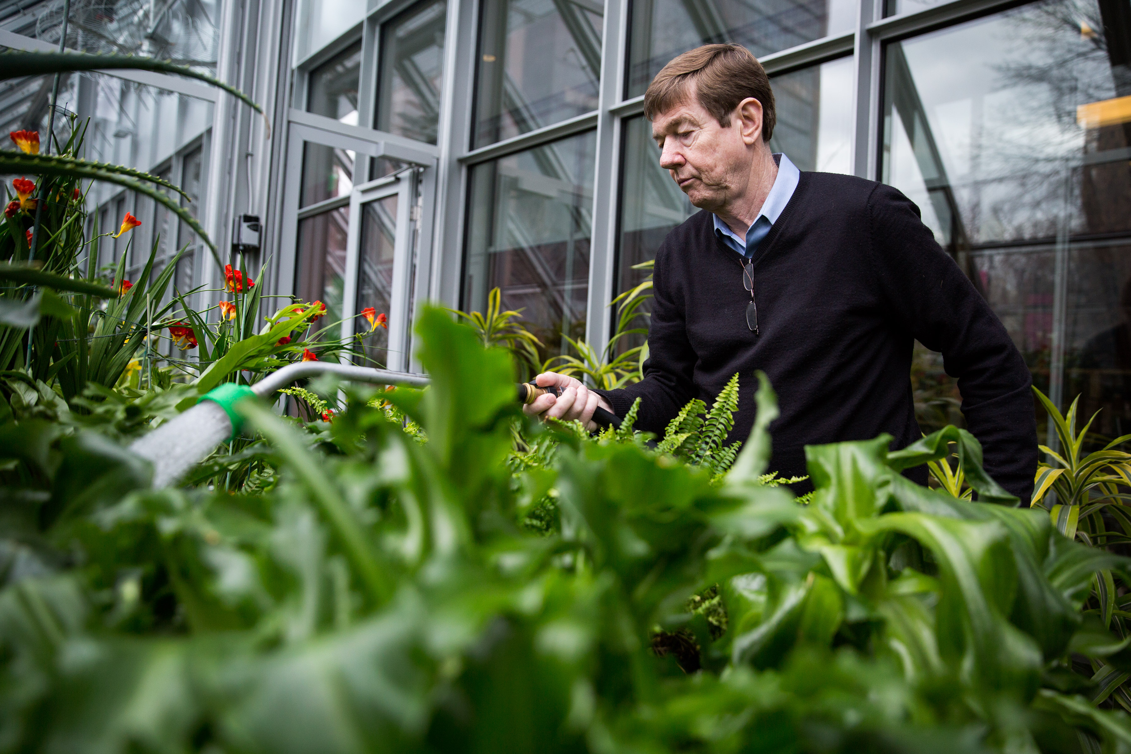 Mr. Kozak watered plants in the Gardner’s greenhouse.