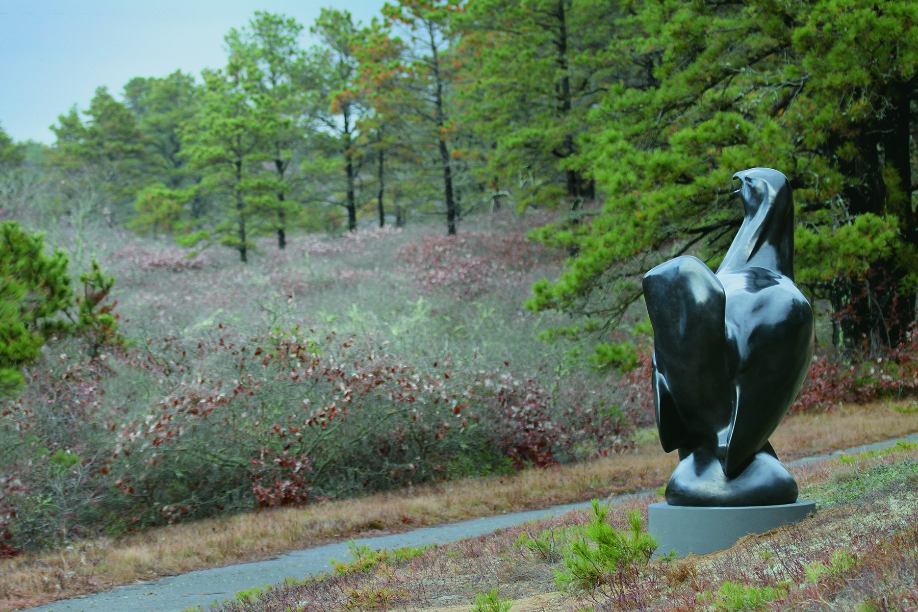 A bronze heath hen sculpture by Todd McGrain memorializes the site on Martha’s Vineyard where the bird was last seen in 1932.