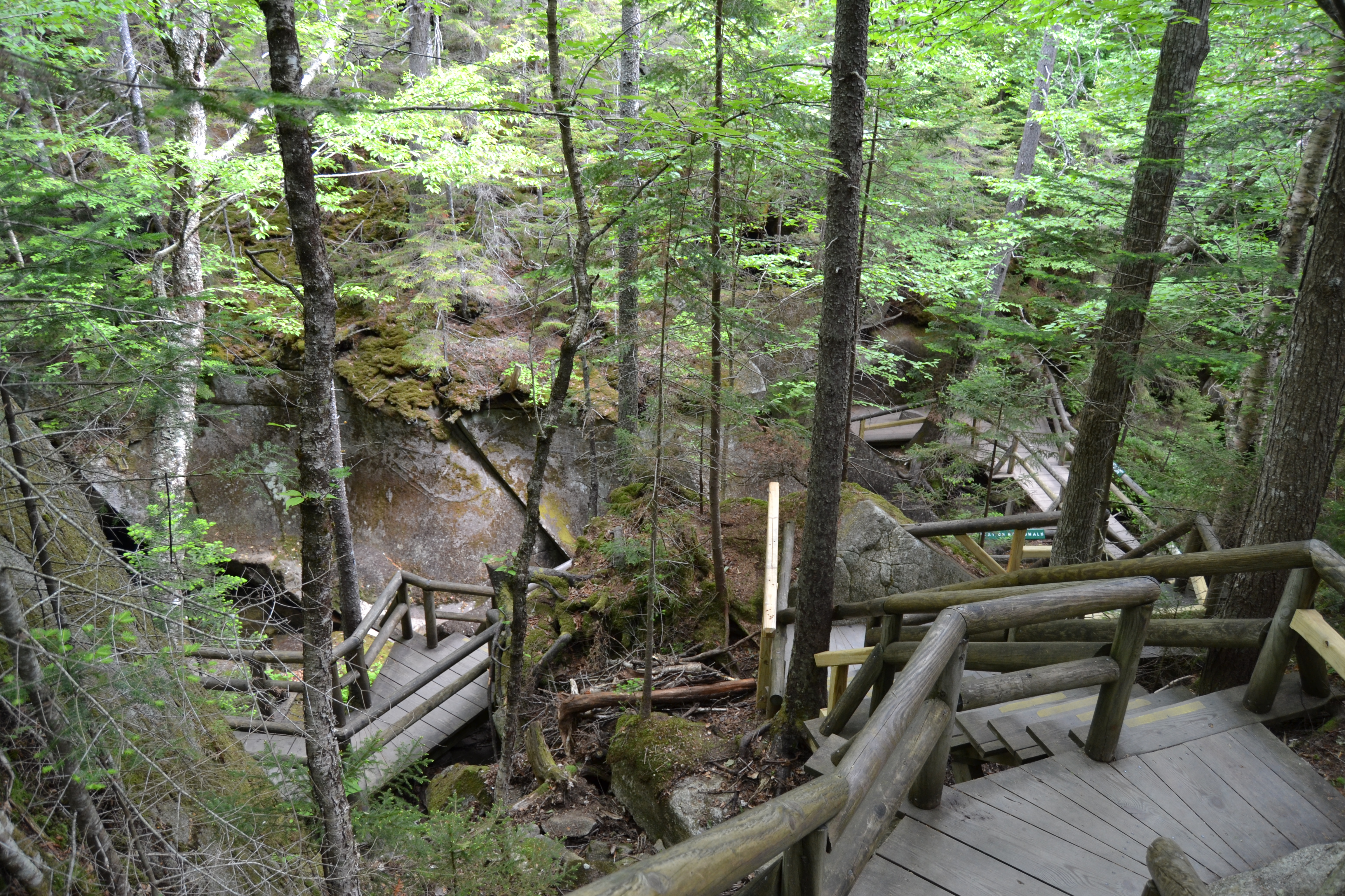 An extensive boardwalk system with ladders and bridges linked 11 caves at Lost River Gorge and Boulder Caves.