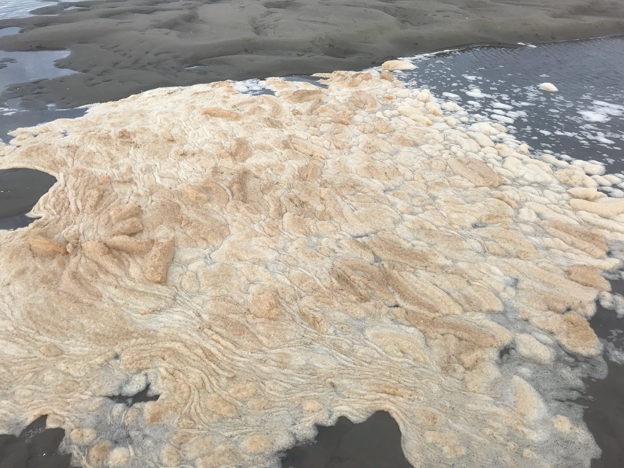 A few weeks ago after a heavy storm, Dan Graovac was kayaking near the mouth of the Merrimack River when he began to notice sewage in the river.