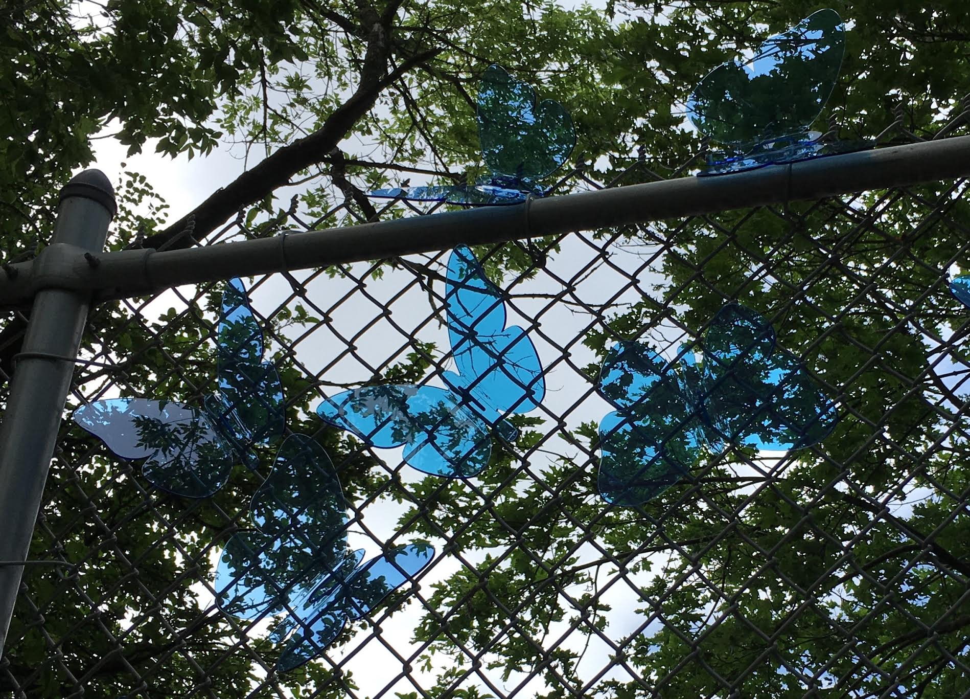 “Flutter” is a series of blue translucent plexiglass butterflies along the Minuteman Bikeway.