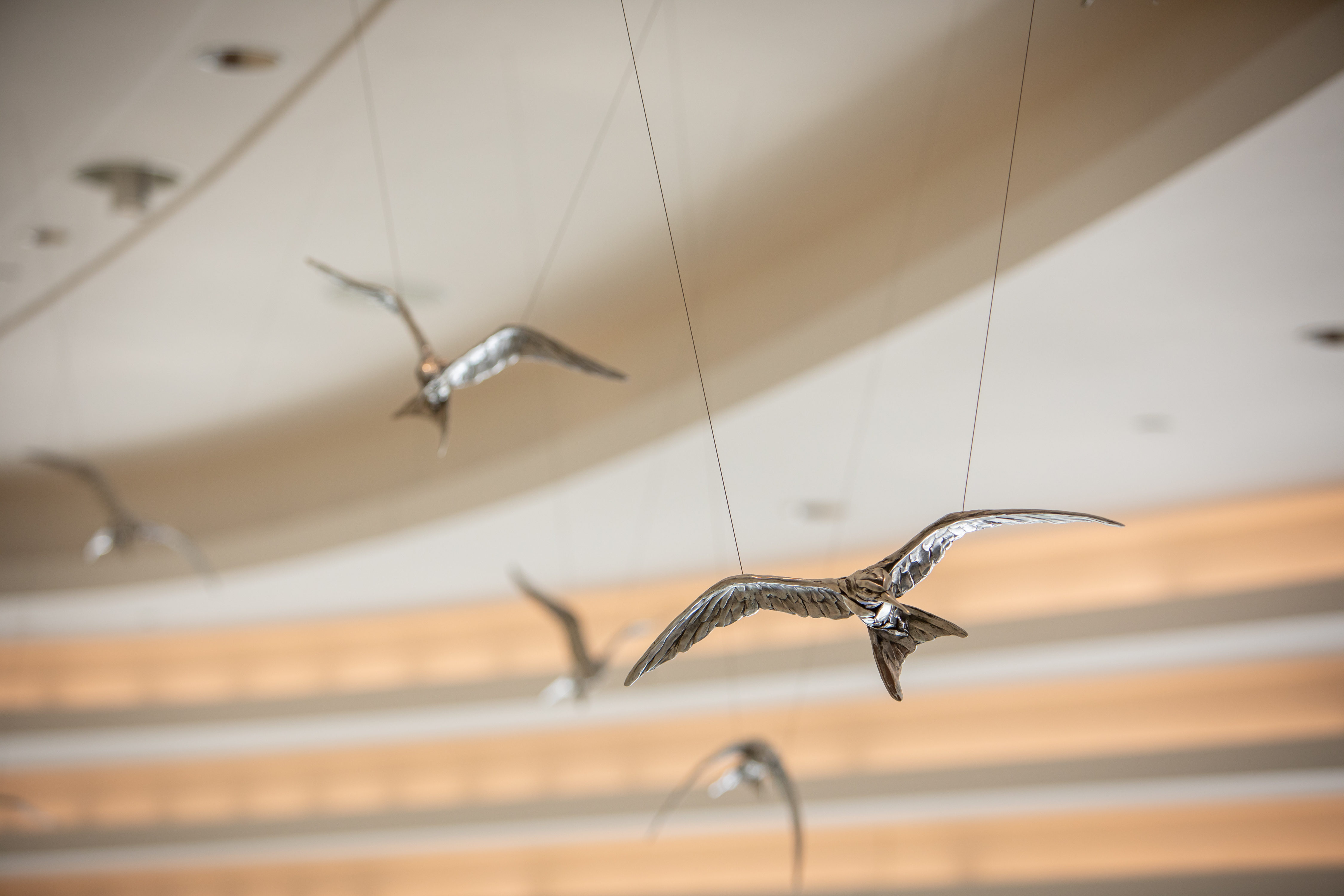 One hundred aluminum-cast California least terns were suspended inside the lobby of Lucile Packard Children’s Hospital.