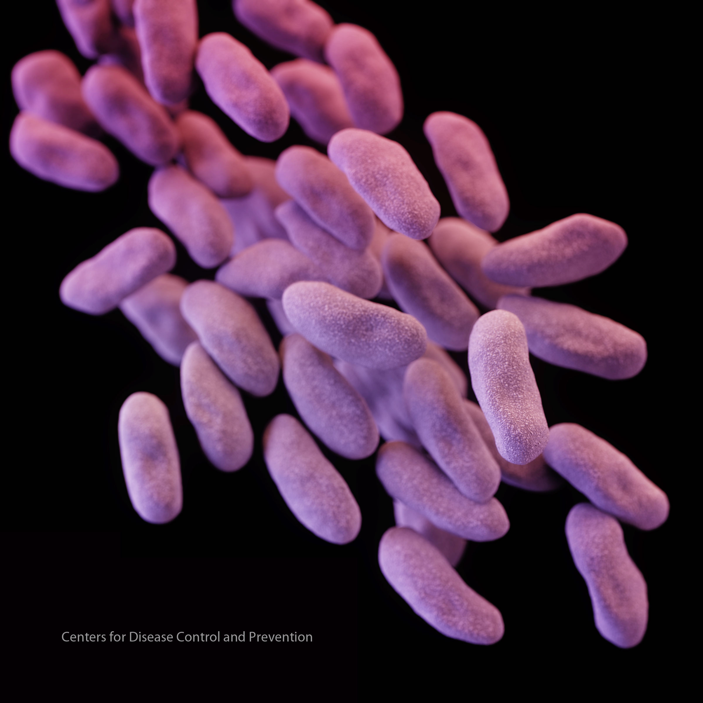 This Carbapenem-resistant Enterobacteriaceae (CRE) infected 179 patients in 2015 at a medical center in Los Angeles.