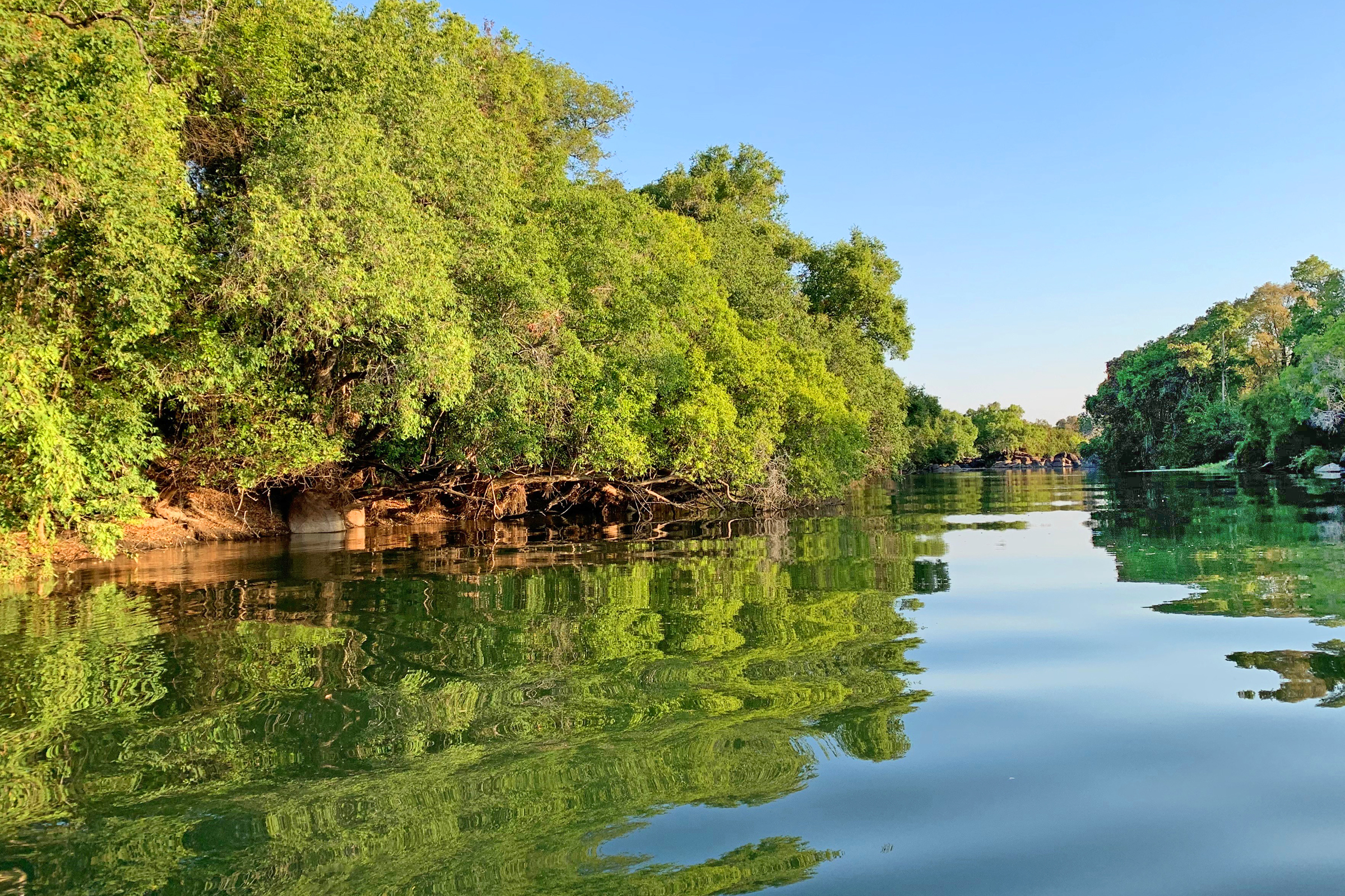 Scenery along the Kafue River.