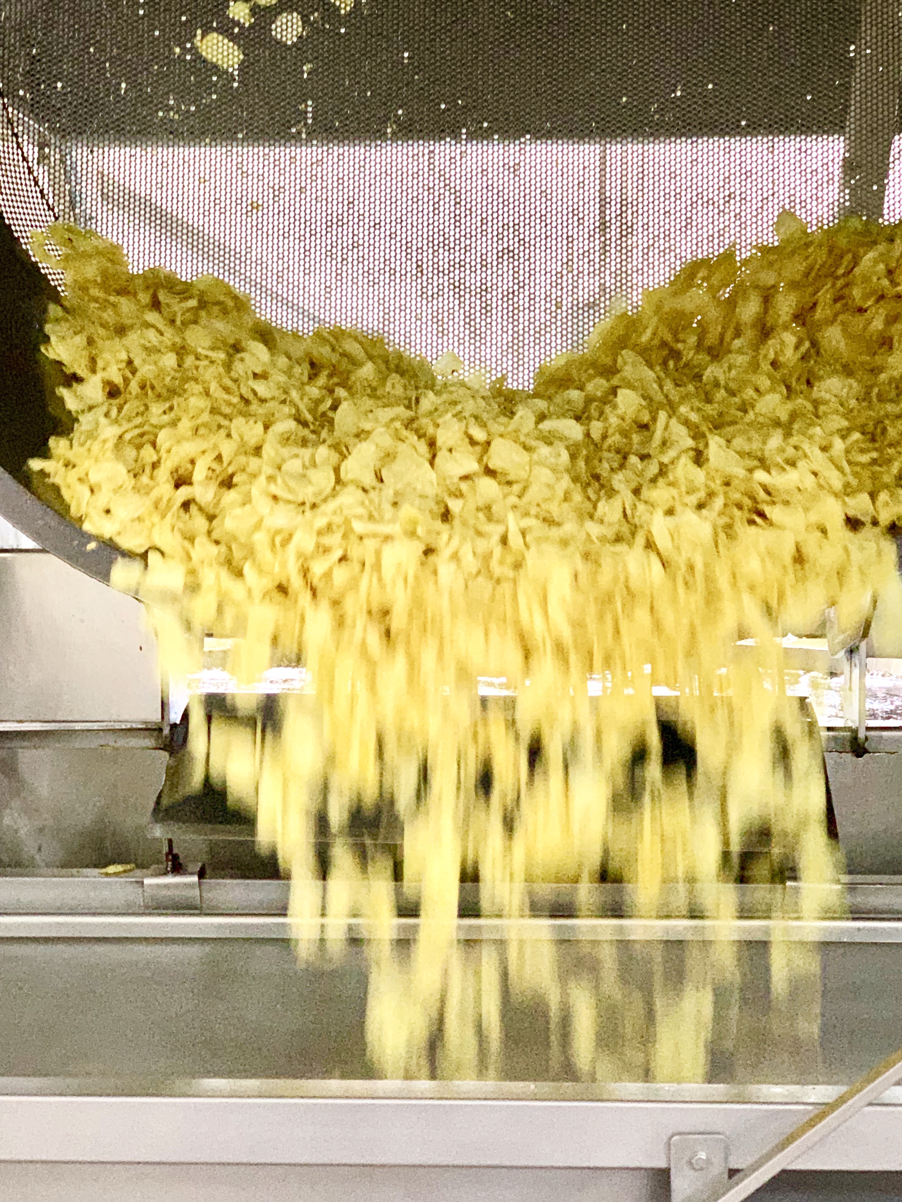 Sliced potatoes are fried in a vat lined with a mesh strainer. When they’re ready, the strainer lifts out of the vat, shakes the chips to remove excess oil, and tips them onto a conveyor belt.