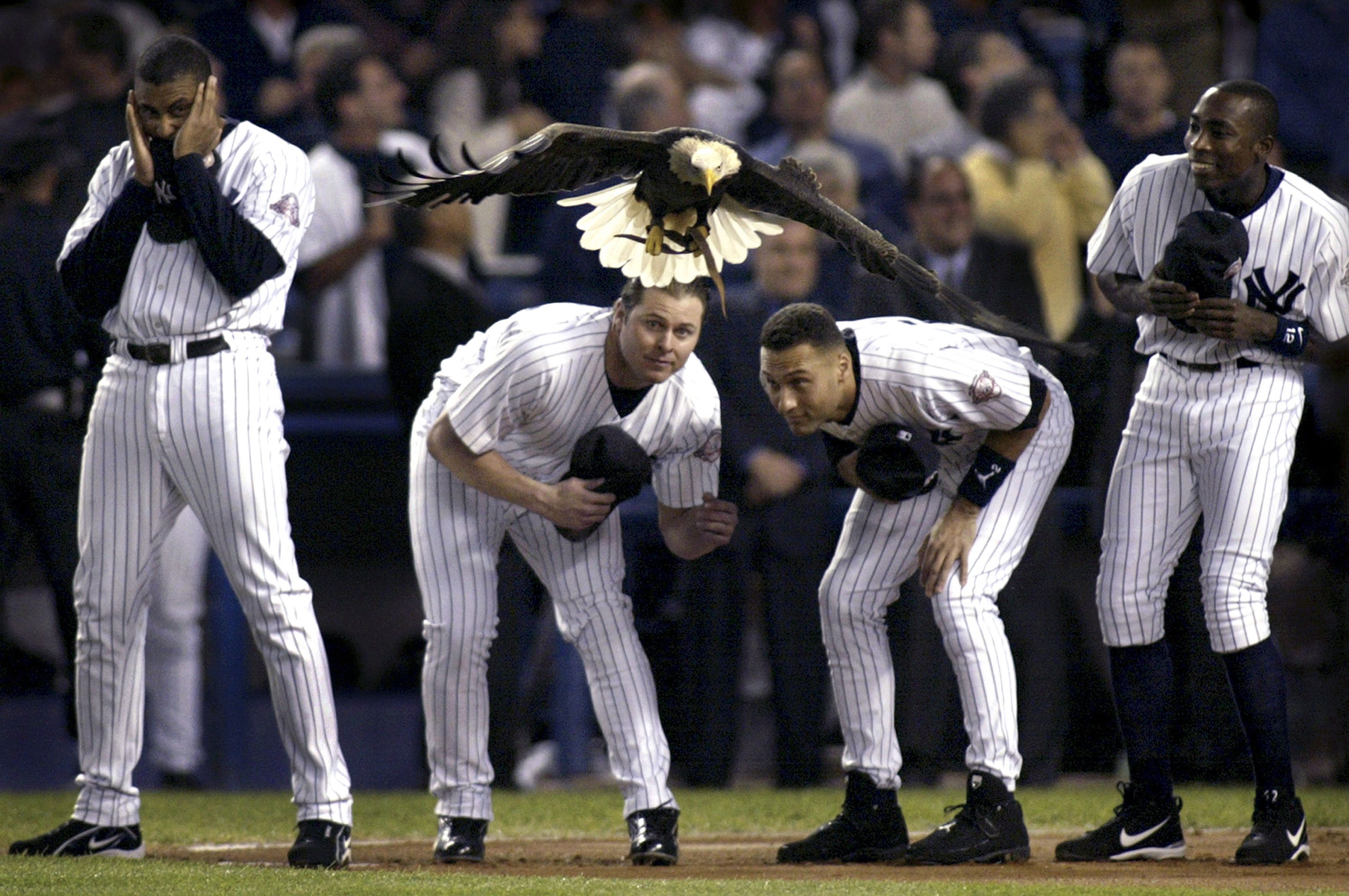 An eagle that was part of a pregame ceremony was spooked by a military jet flyover.