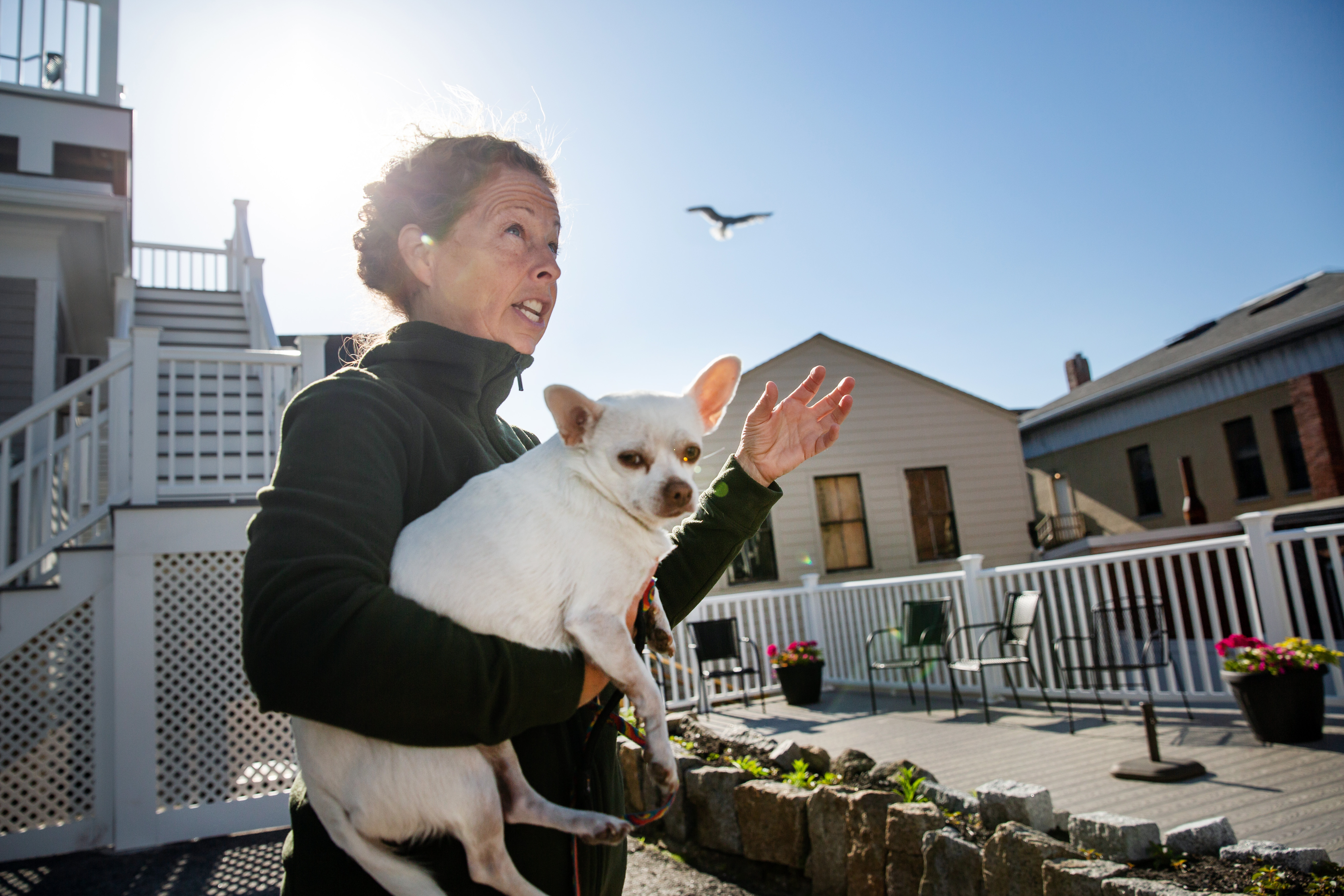 At the Pike-Newhall Funeral Home, Robin Newhall has installed several shiny trinkets on her roof — “like little disco balls” — that are supposed to make it look, at least to gulls, like the roof is on fire.