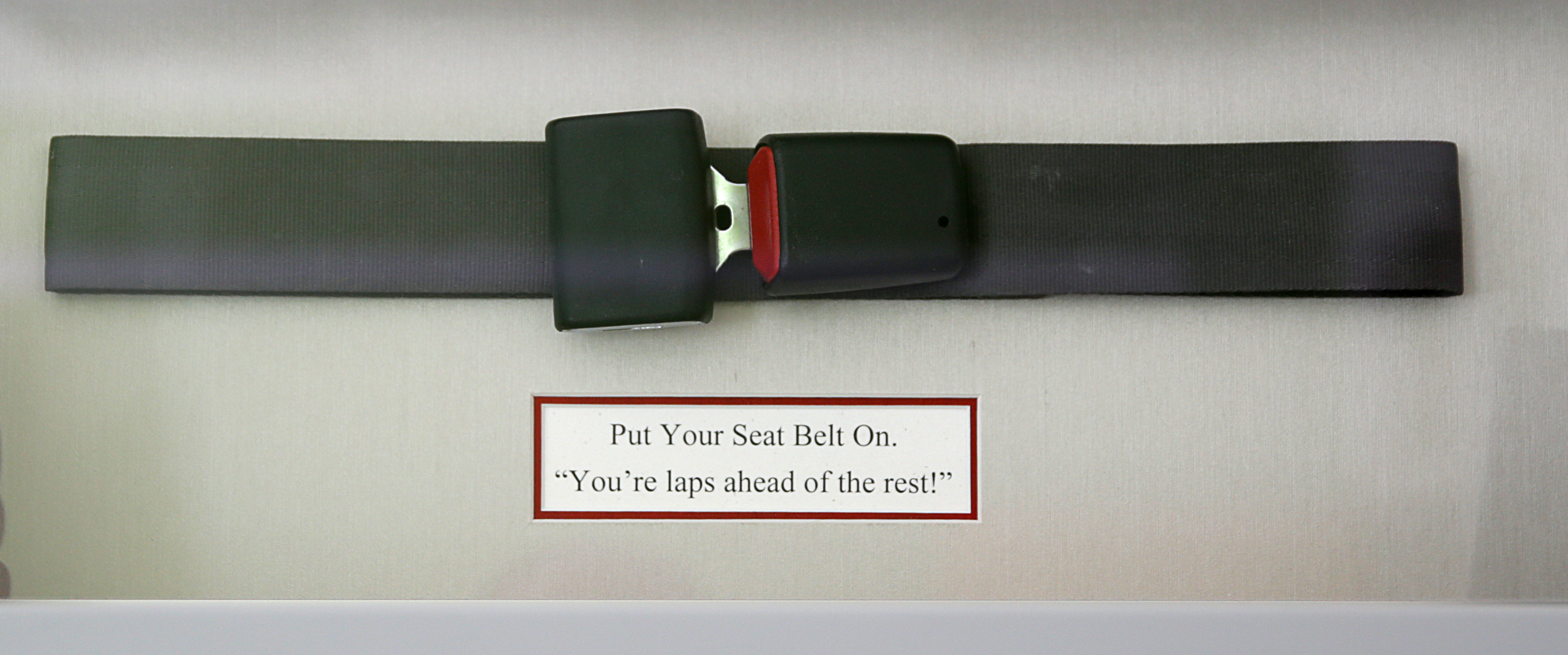 “The seat belt is a reminder that you’ve got to bring people along,” D’Amato said.