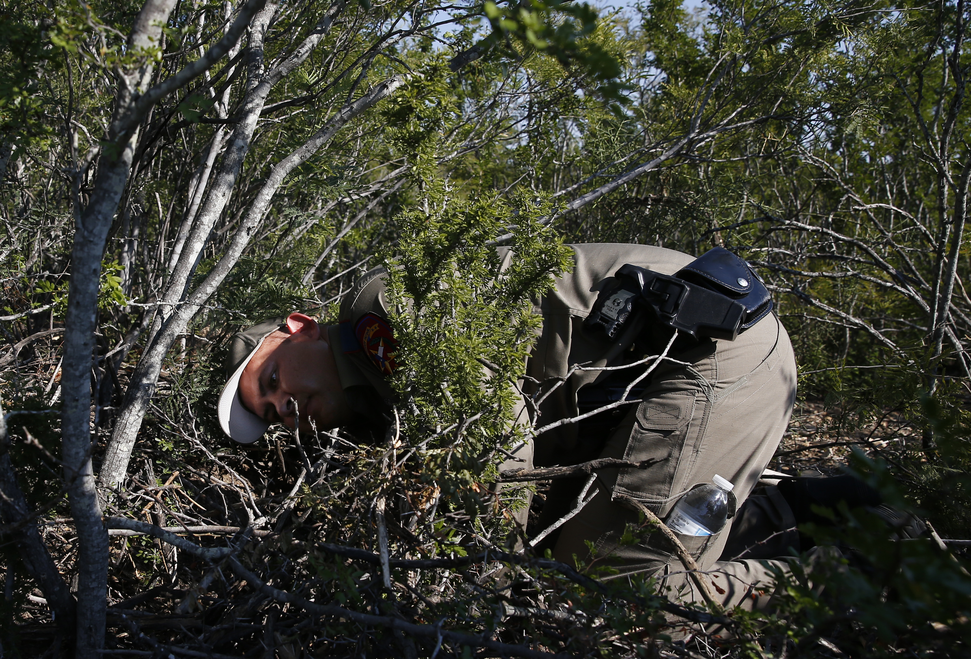 A Texas trooper searched the brush near where the skull was found.