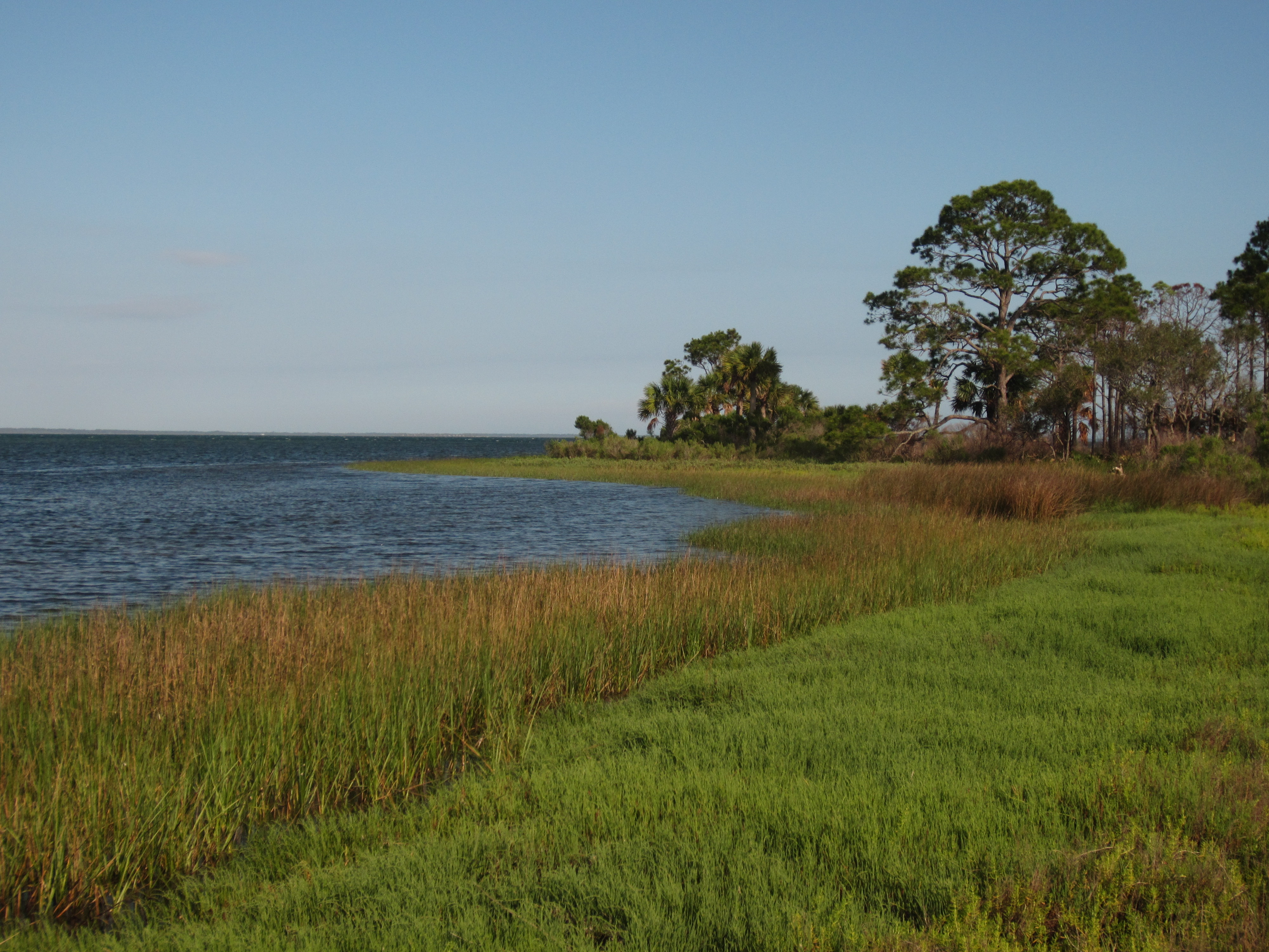 The Bayview Nature Trail passes through a salt marsh before reaching St. Joseph Bay.