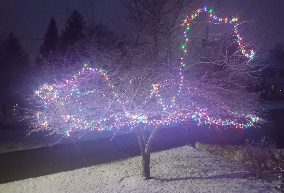 Lees Summit Christmas Lights 2022 Some People Are Putting Up Holiday Lights To Spread Cheer During The  Coronavirus Outbreak - The Boston Globe