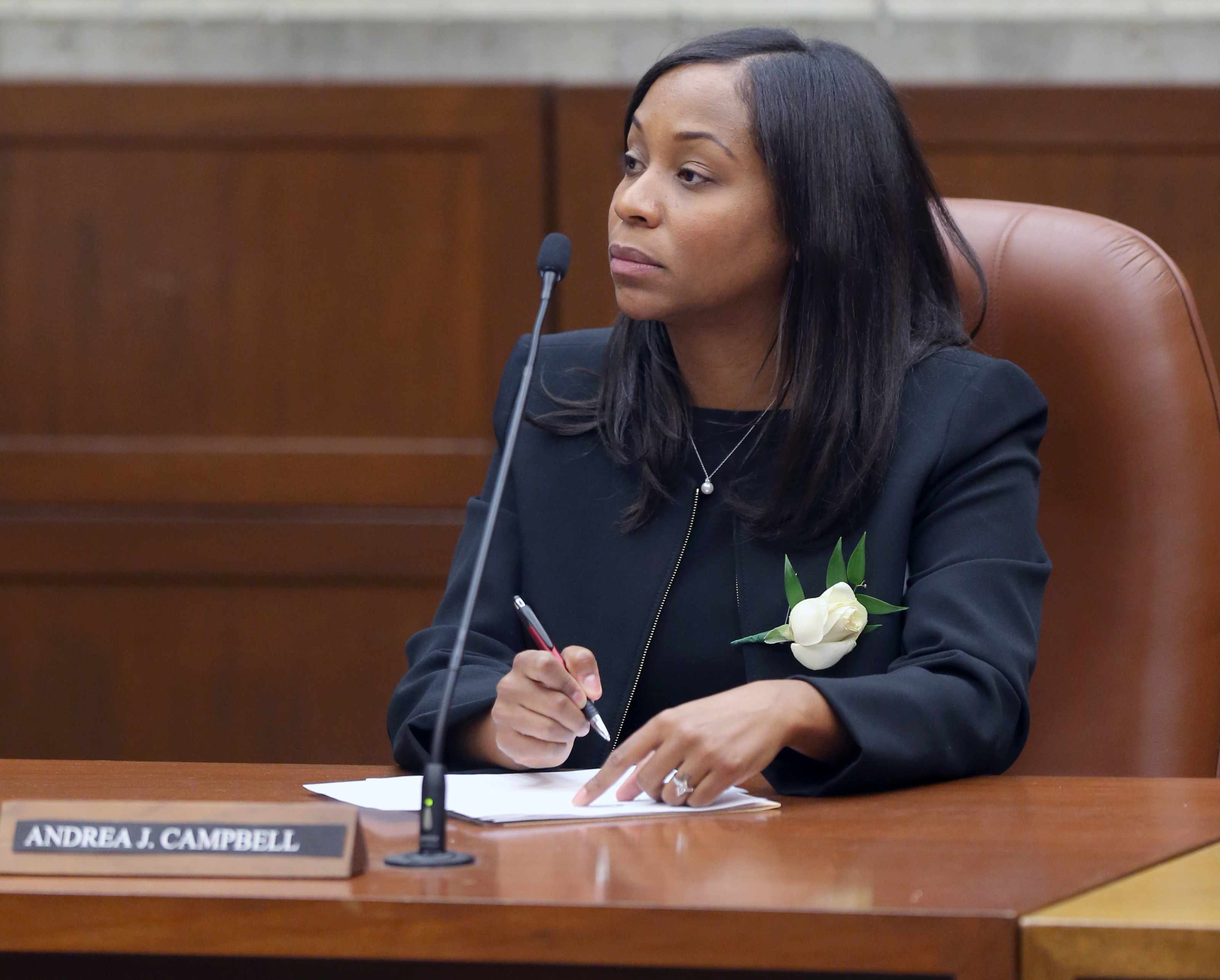 Andrea Campbell is one of two city councilors leading the inquiry into candidates for the nine-member Community Preservation Act committee. The council will name four members, and Mayor Martin J. Walsh will name five.